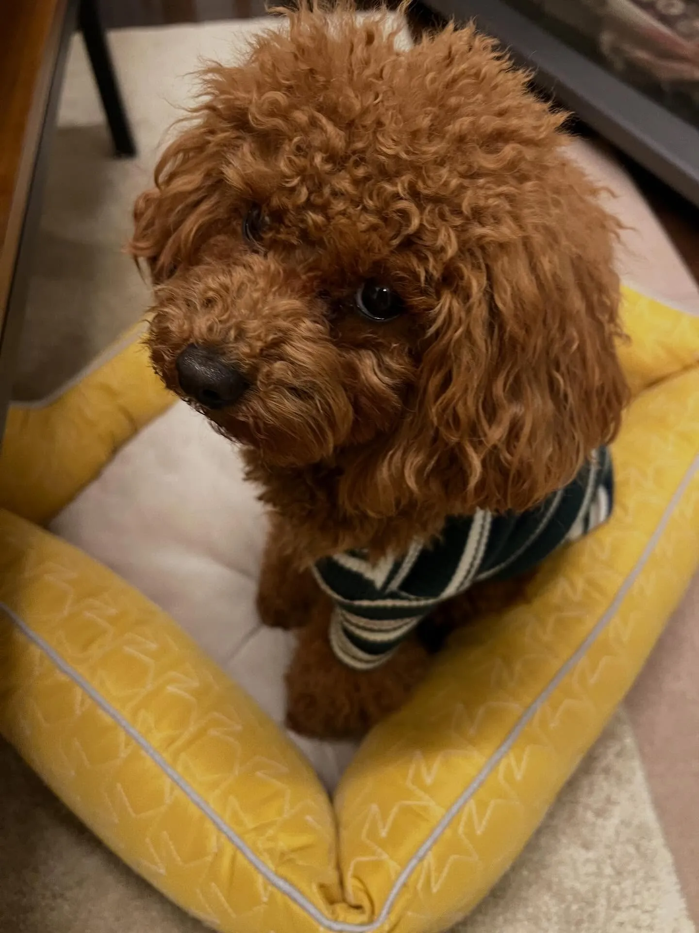 業務用エアコンに困ってるあなた！自社リースなら安心して導入で...