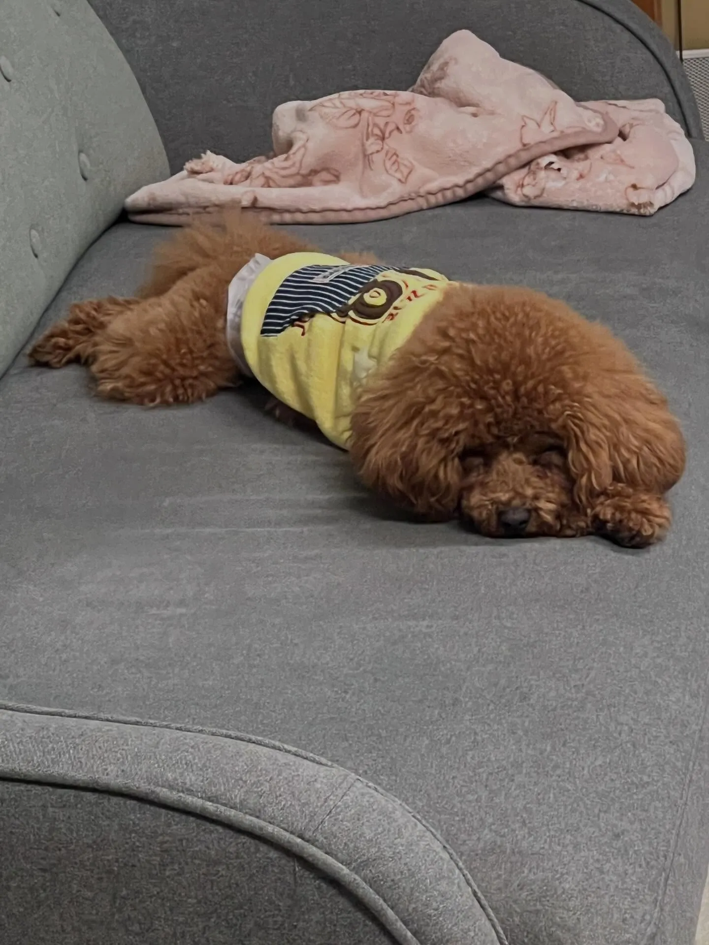 🌟 仙台で、家庭用エアコンの大量入荷が決定しました🎉!「早い...