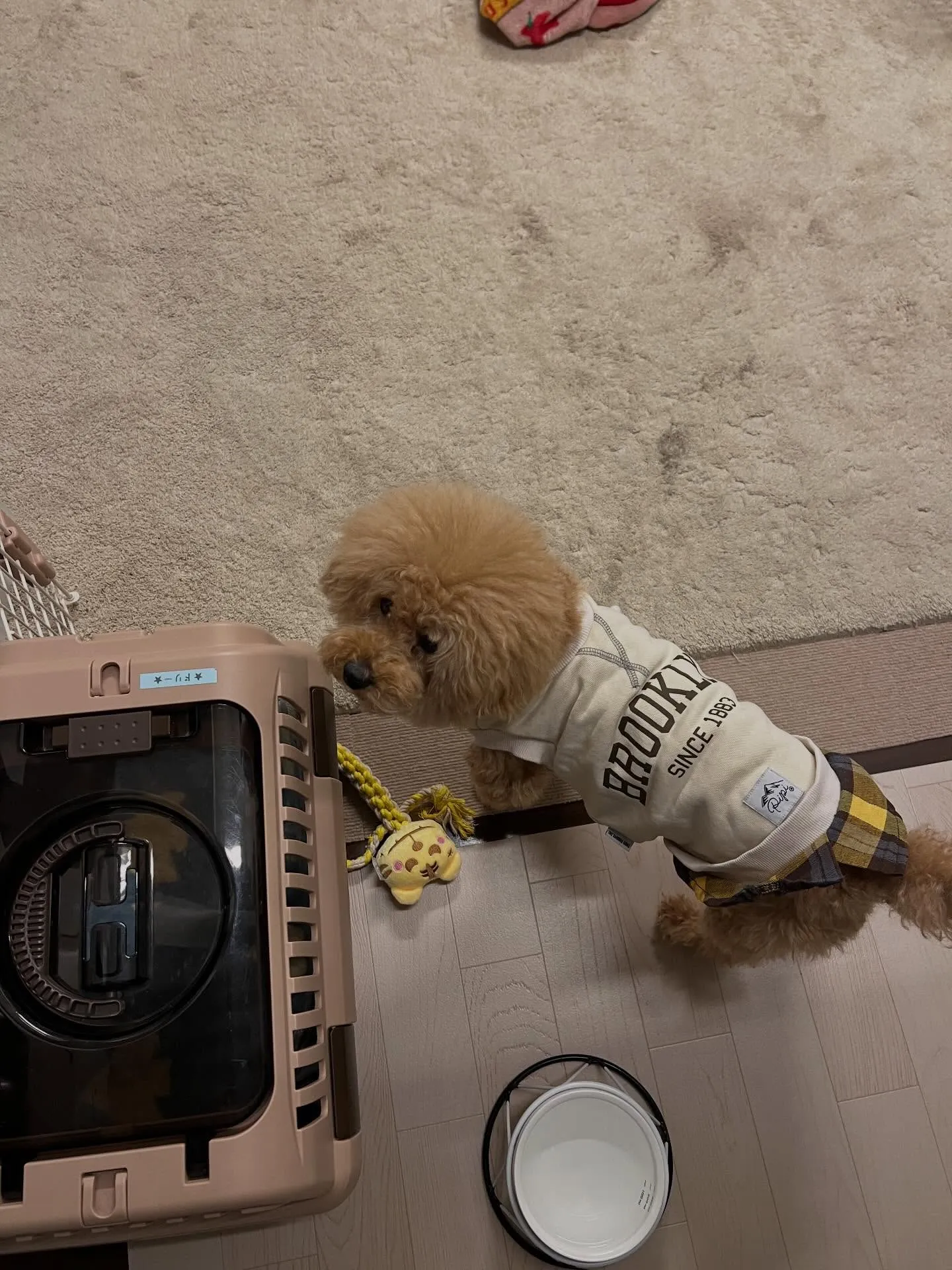 🌟 仙台で、家庭用エアコンの大量入荷が決定しました🎉!「早い...