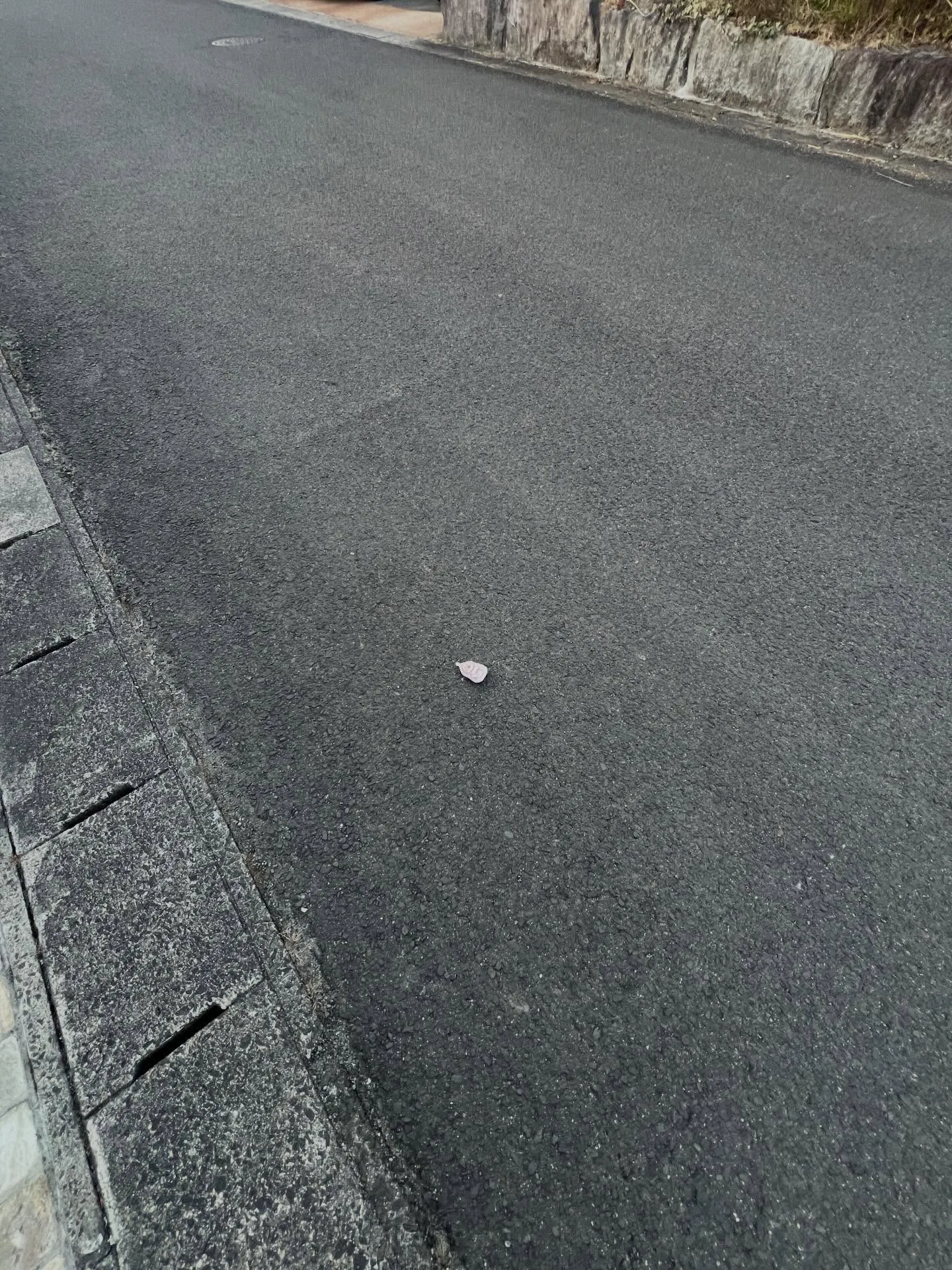 宮城県仙台青葉区にすごい場所があるんだ。