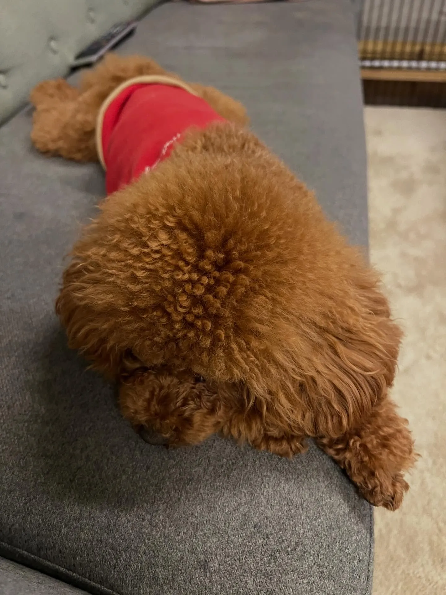 宮城県仙台青葉区にすごい場所があるんだ。