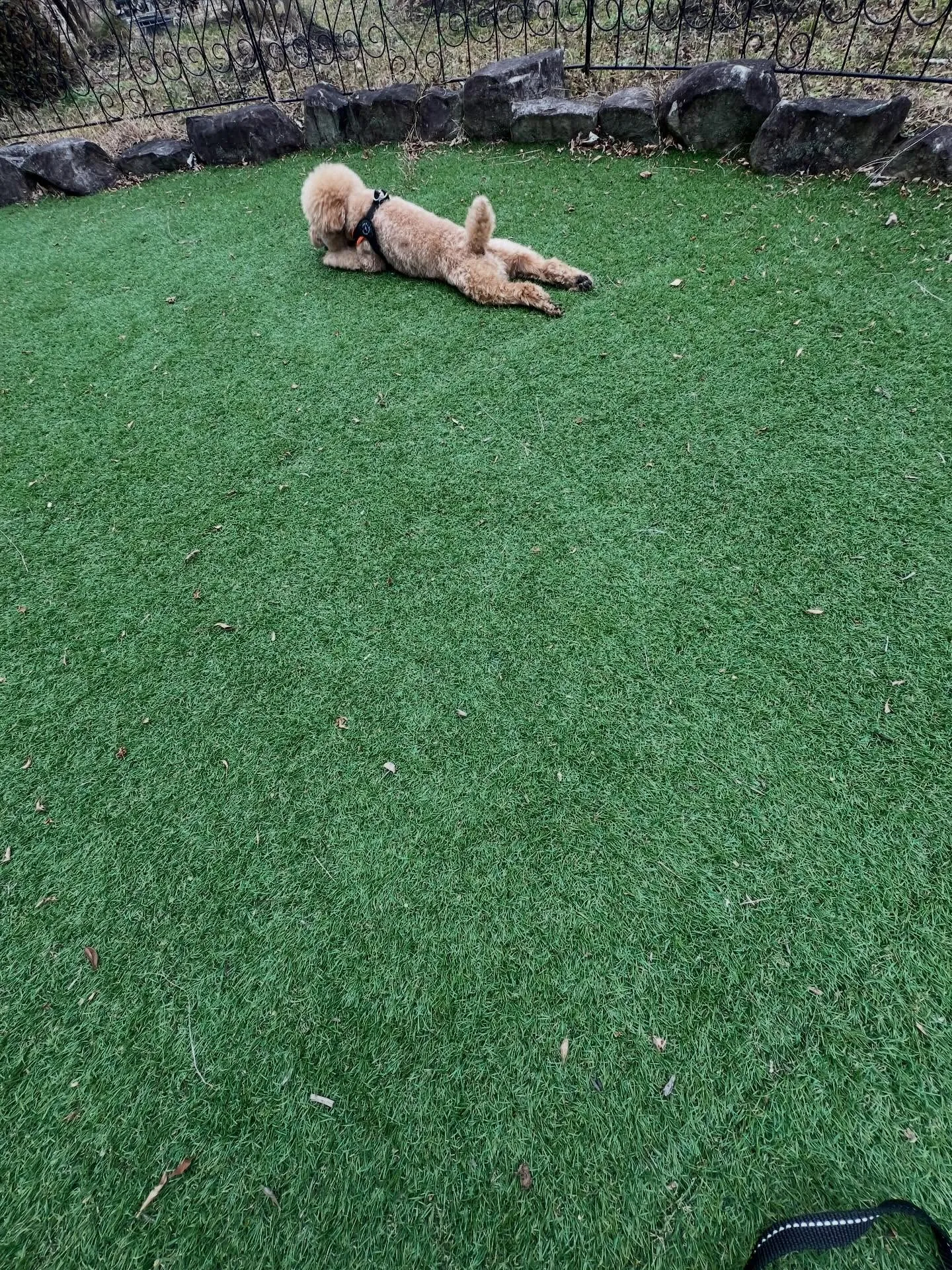 東北6県のみなさん！エアコンの無料引き取り、そして中古エアコ...