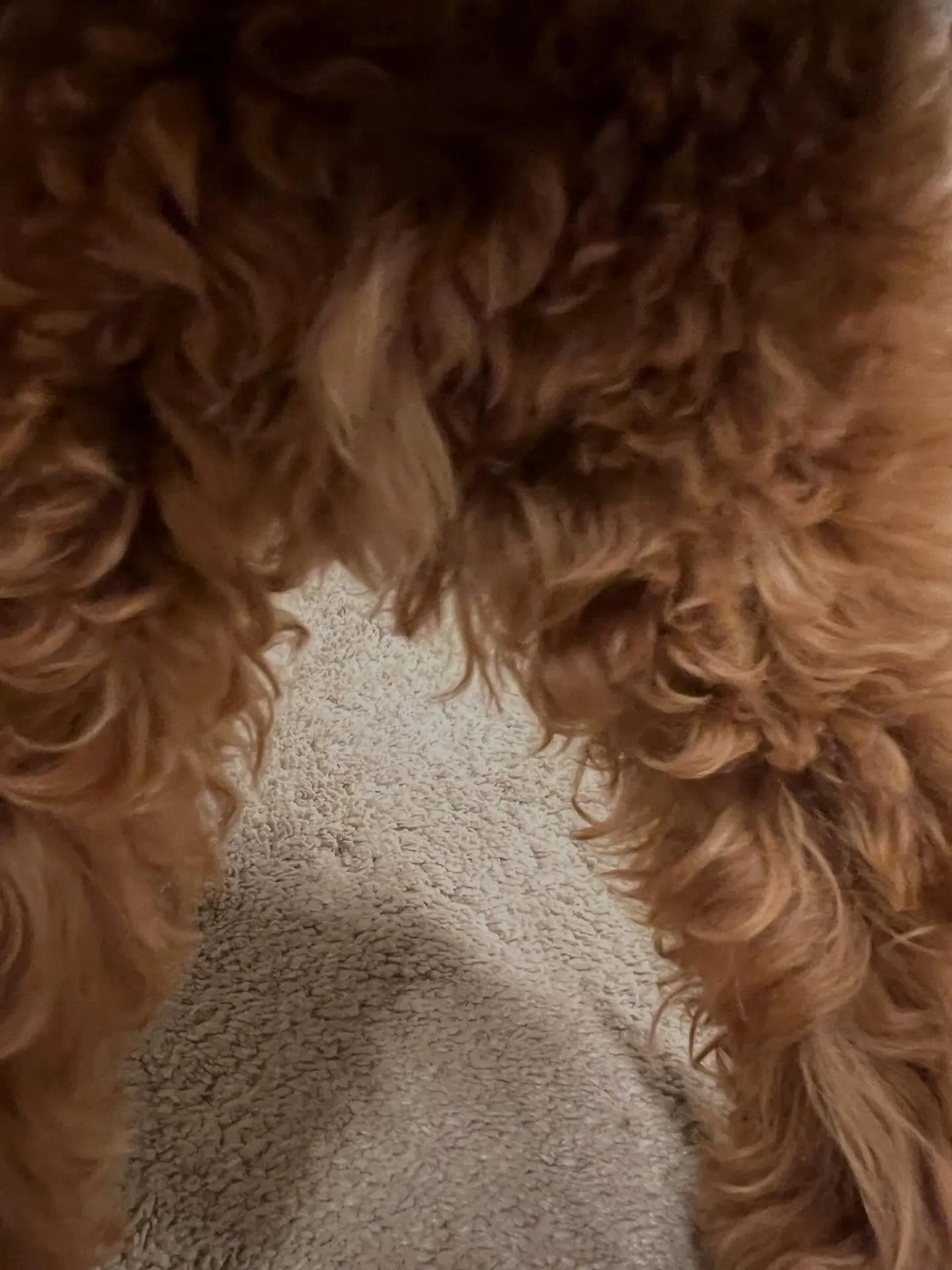 宮城県で空間の快適さを求めるなら、細野工業におまかせ！👷‍♂...