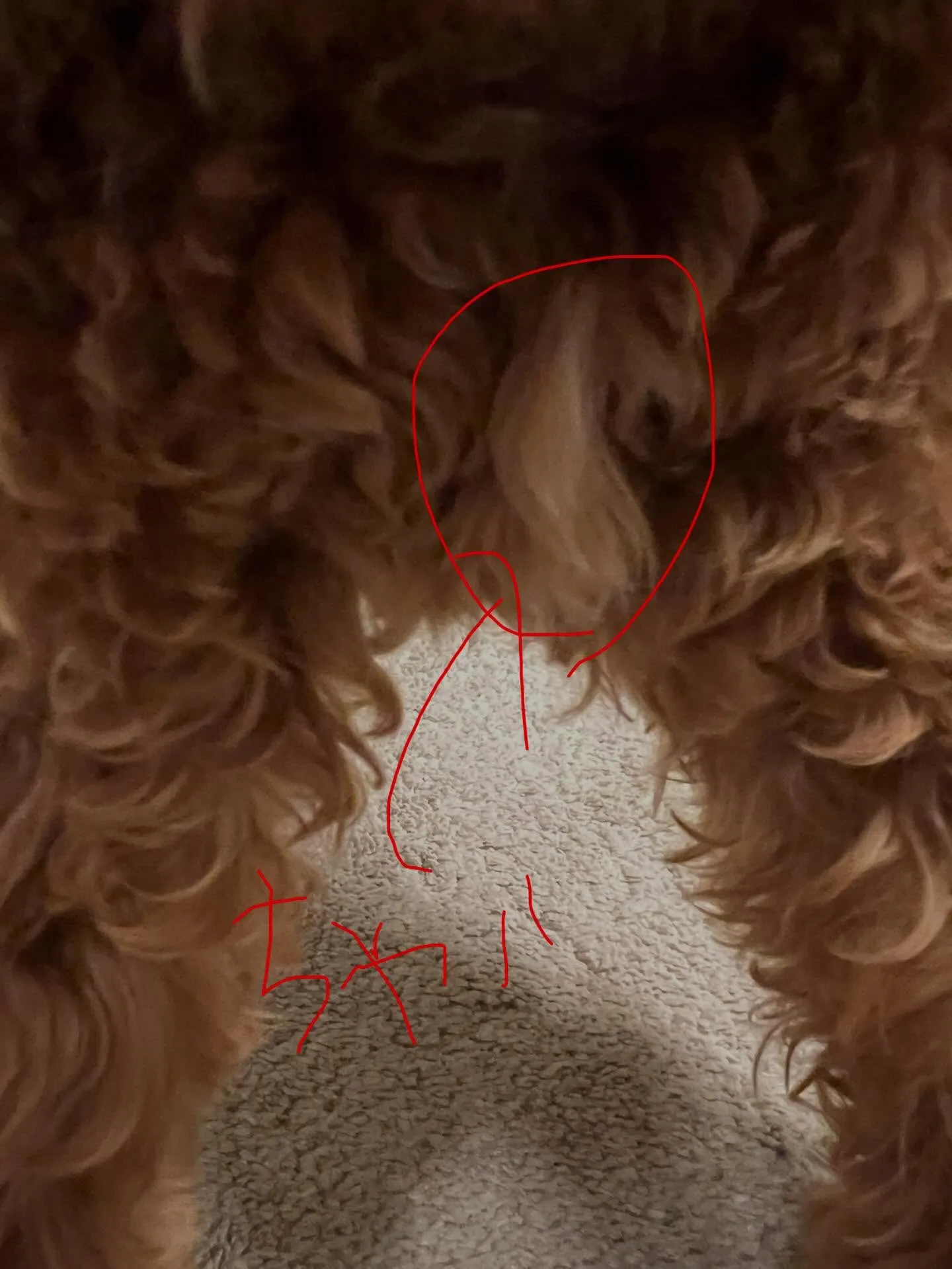 宮城県で空間の快適さを求めるなら、細野工業におまかせ！👷‍♂...