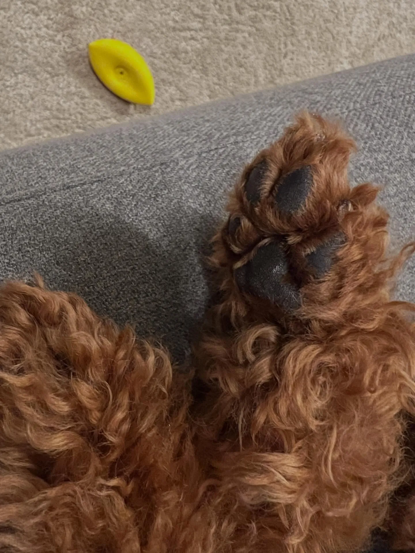 仙台市のみなさん！✨この春、エアコンのシーズンに向けての準備...