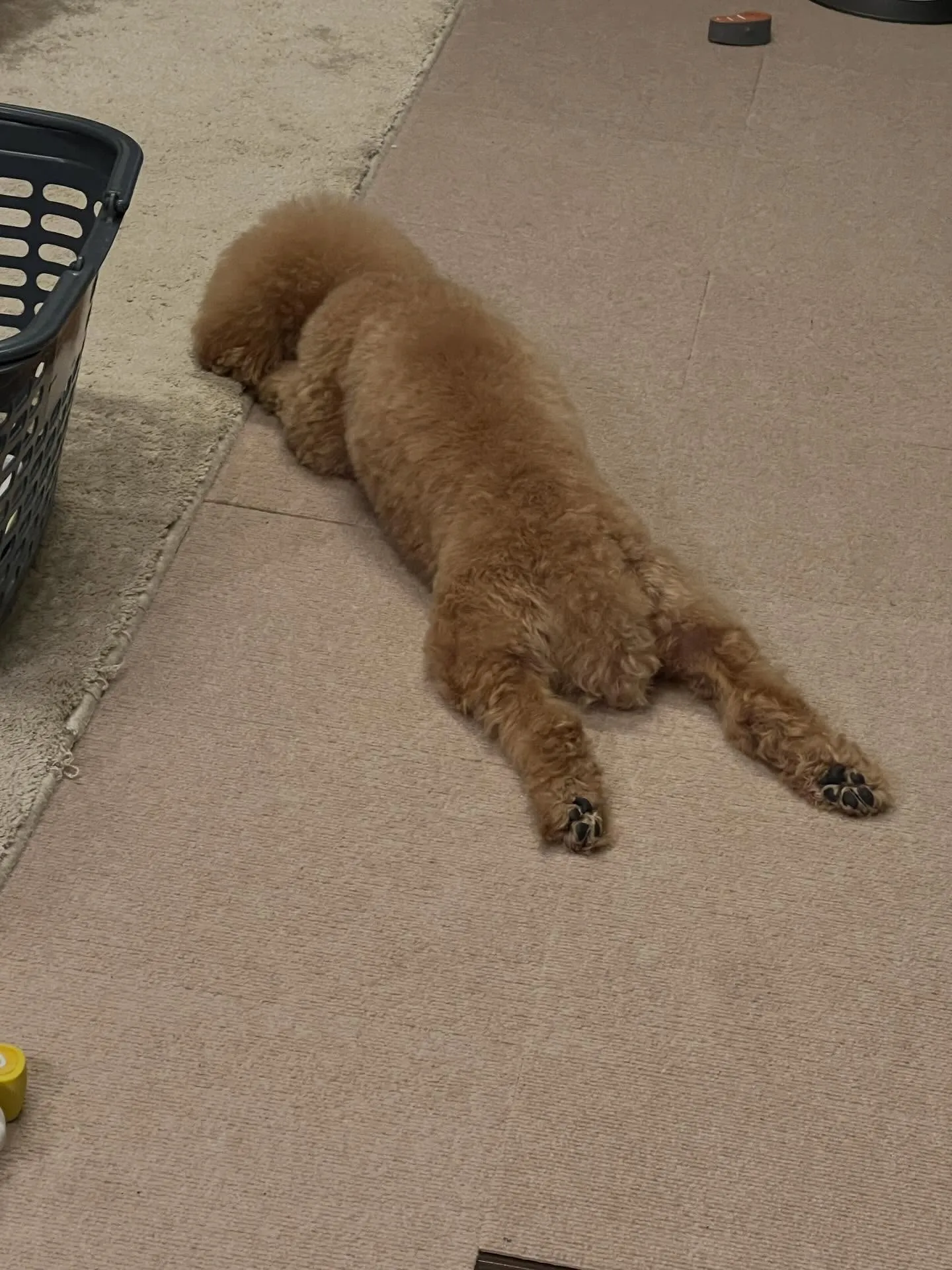 仙台市のみなさん！✨この春、エアコンのシーズンに向けての準備...