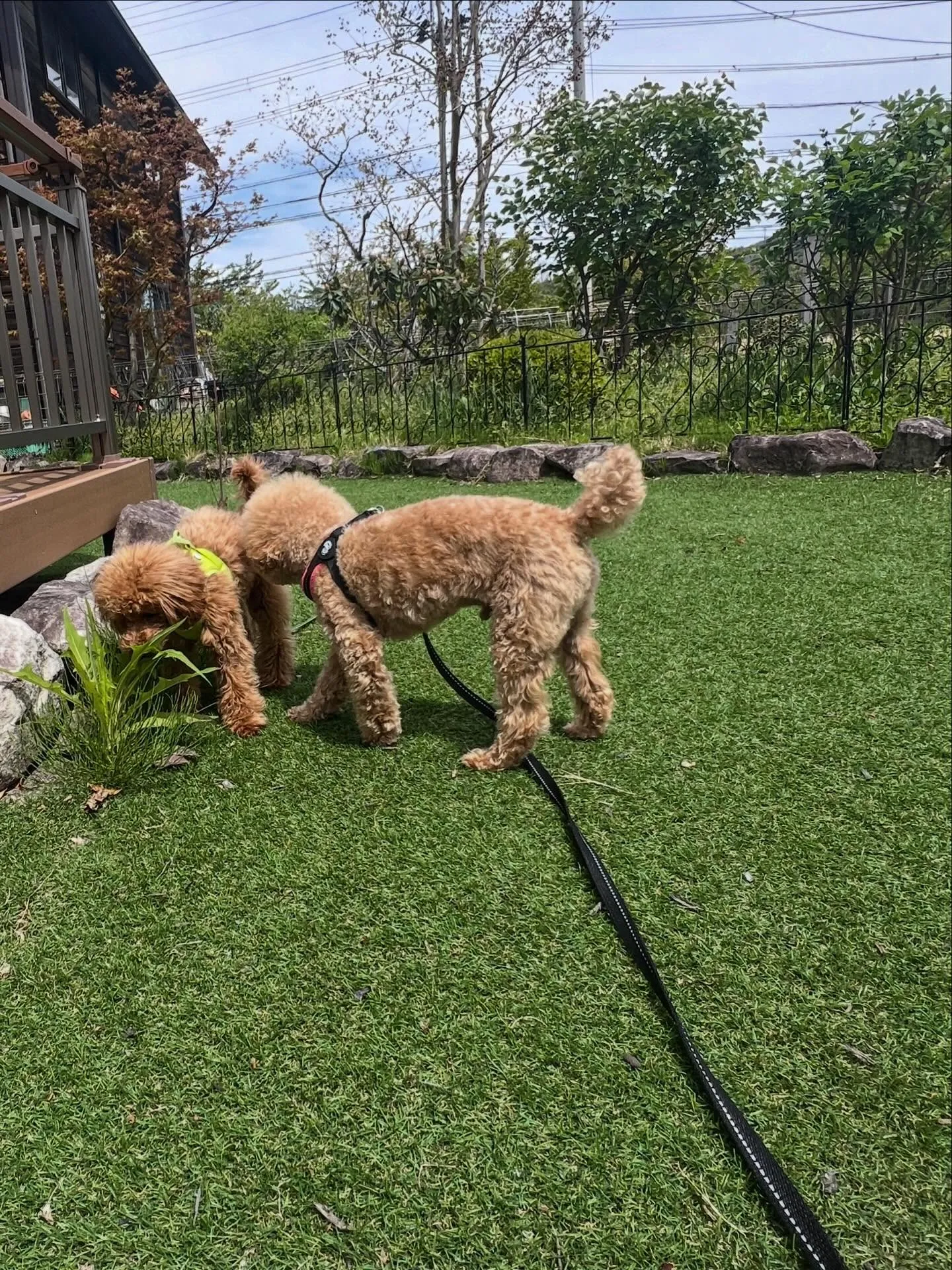 エアコン大量入荷日決定‼️