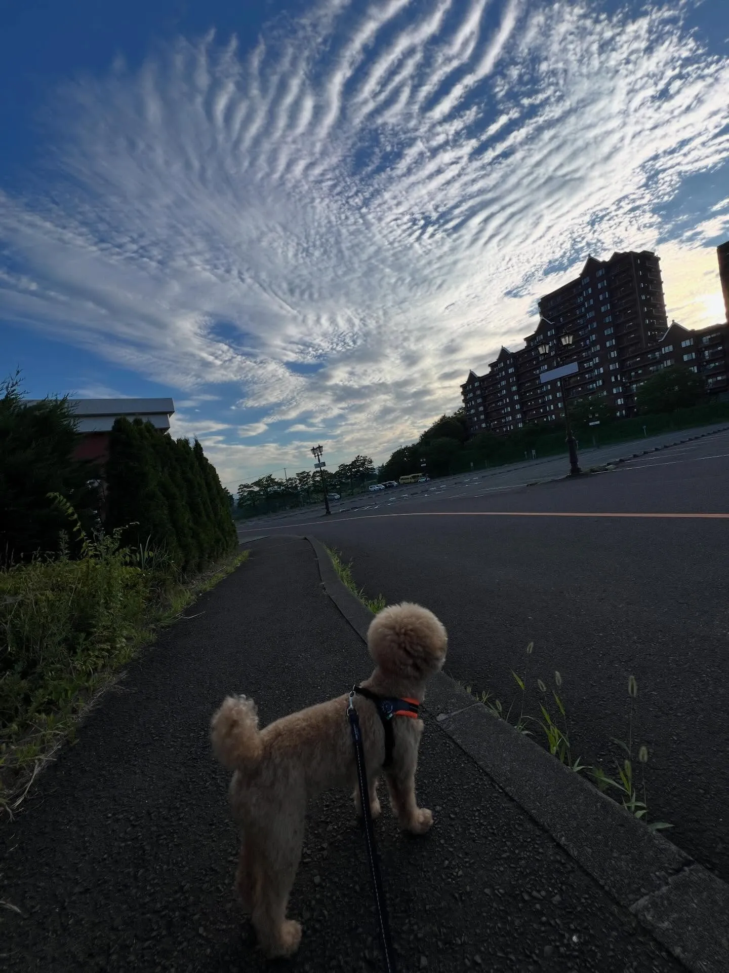 宮城県仙台市でめちゃお得な家庭用エアコン大量入荷予定日決定で...