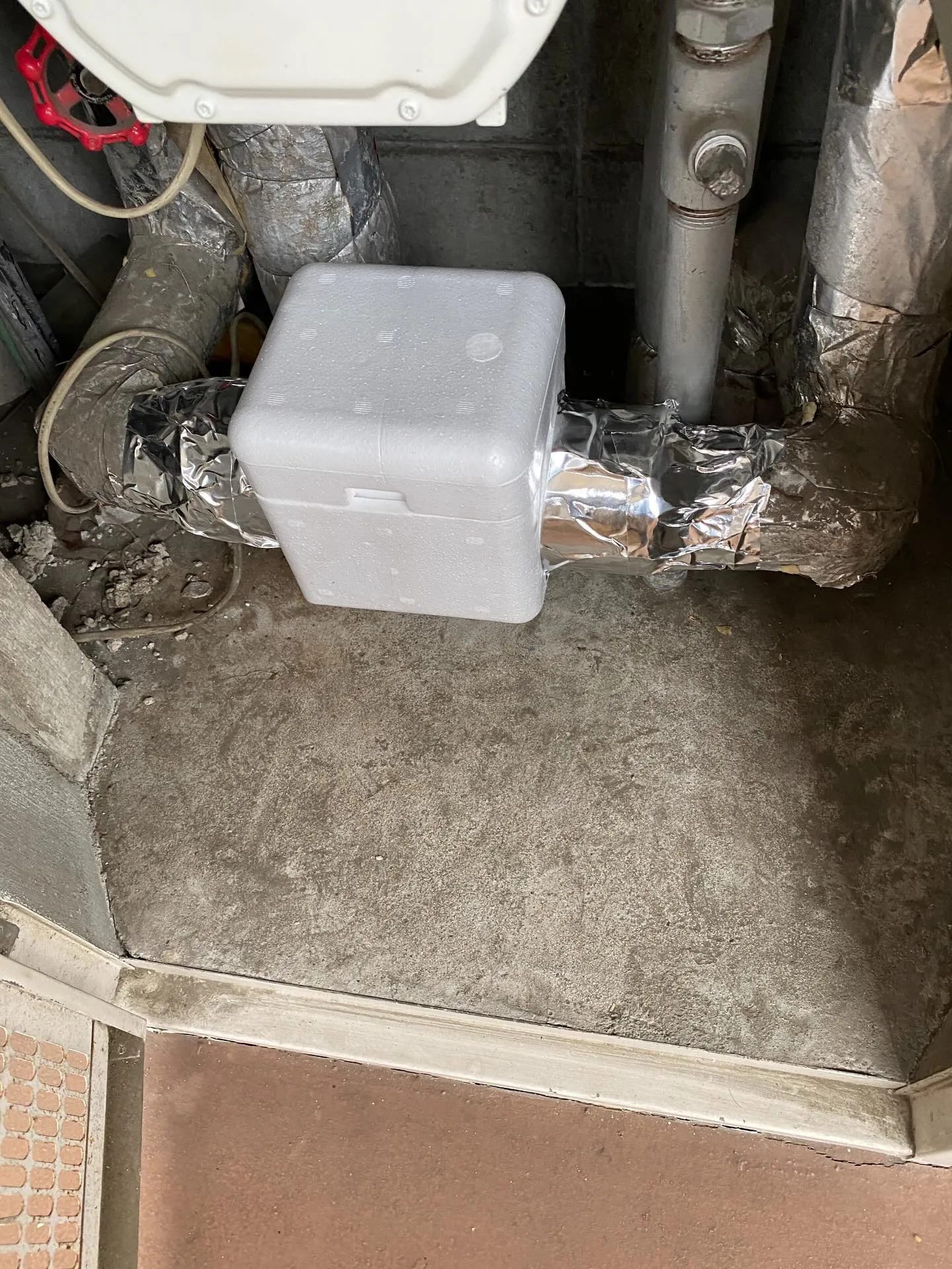 こんにちは、寒さも和らぎ暖かくなってきましたね🌷これから夏シ...