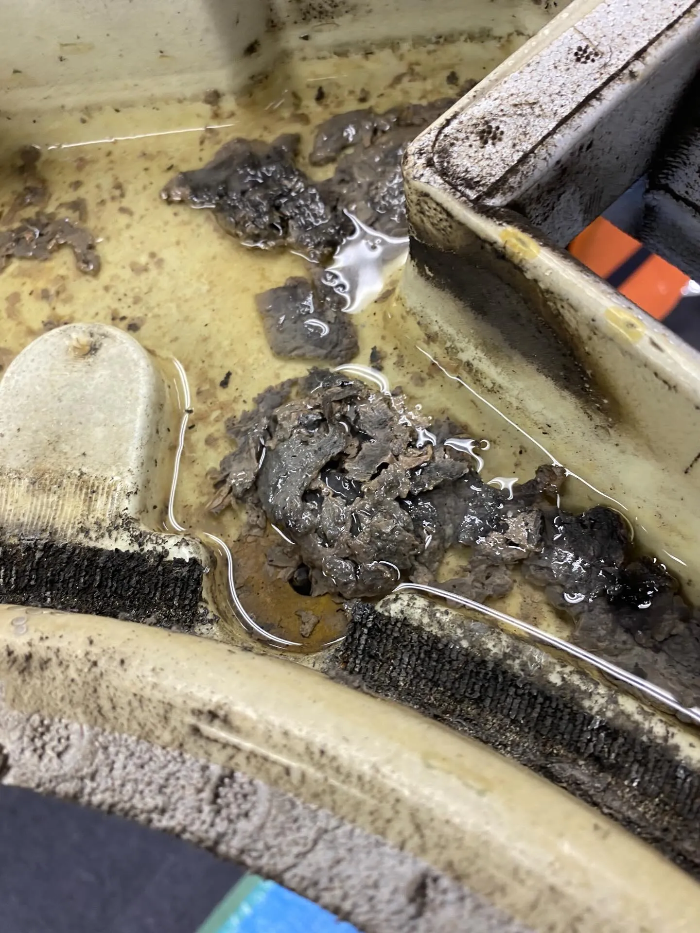 こんにちは!春を迎えて、暖かい日が続くようになりましたね🌸も...