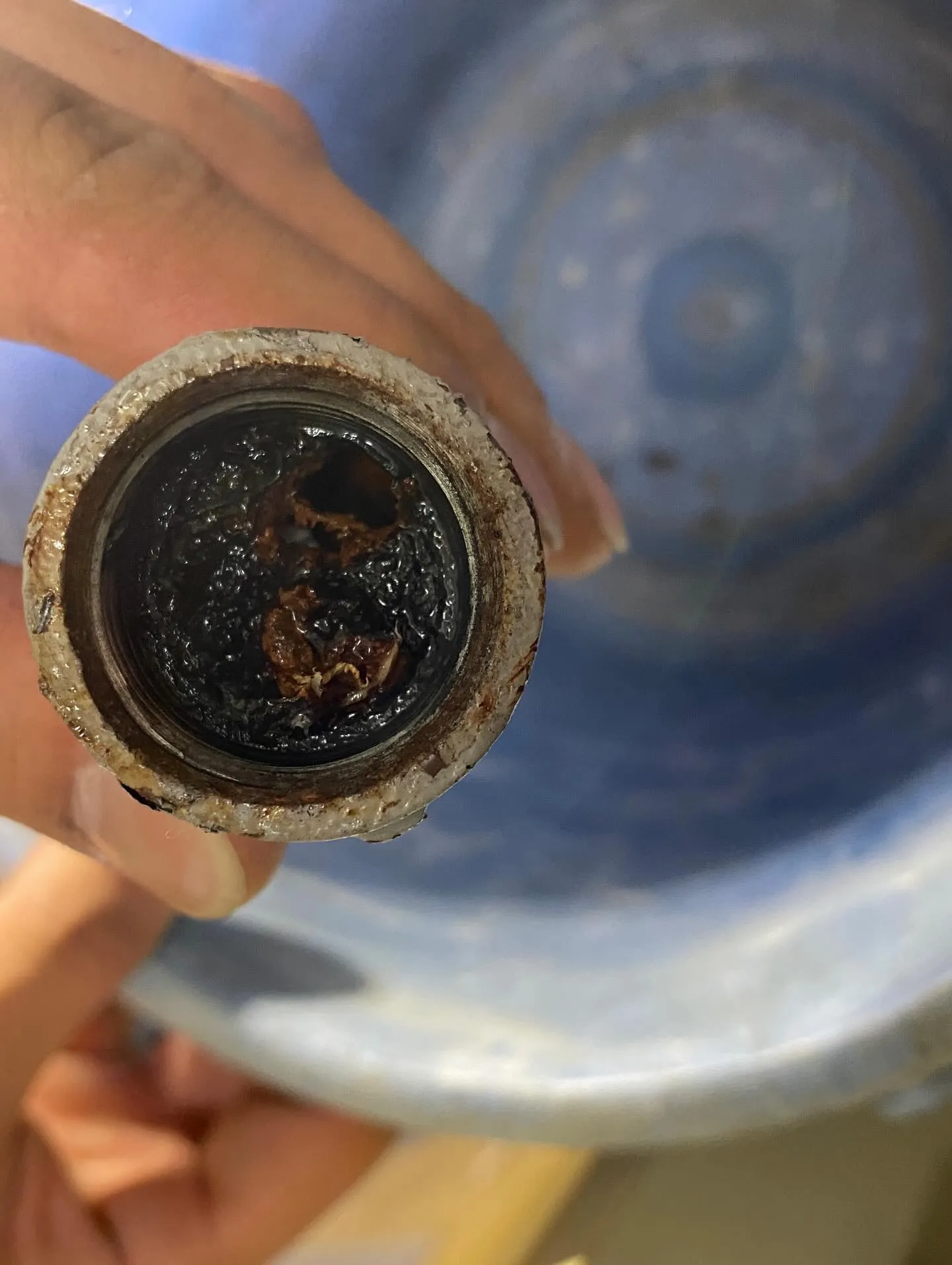 こんにちは!春を迎えて、暖かい日が続くようになりましたね🌸も...