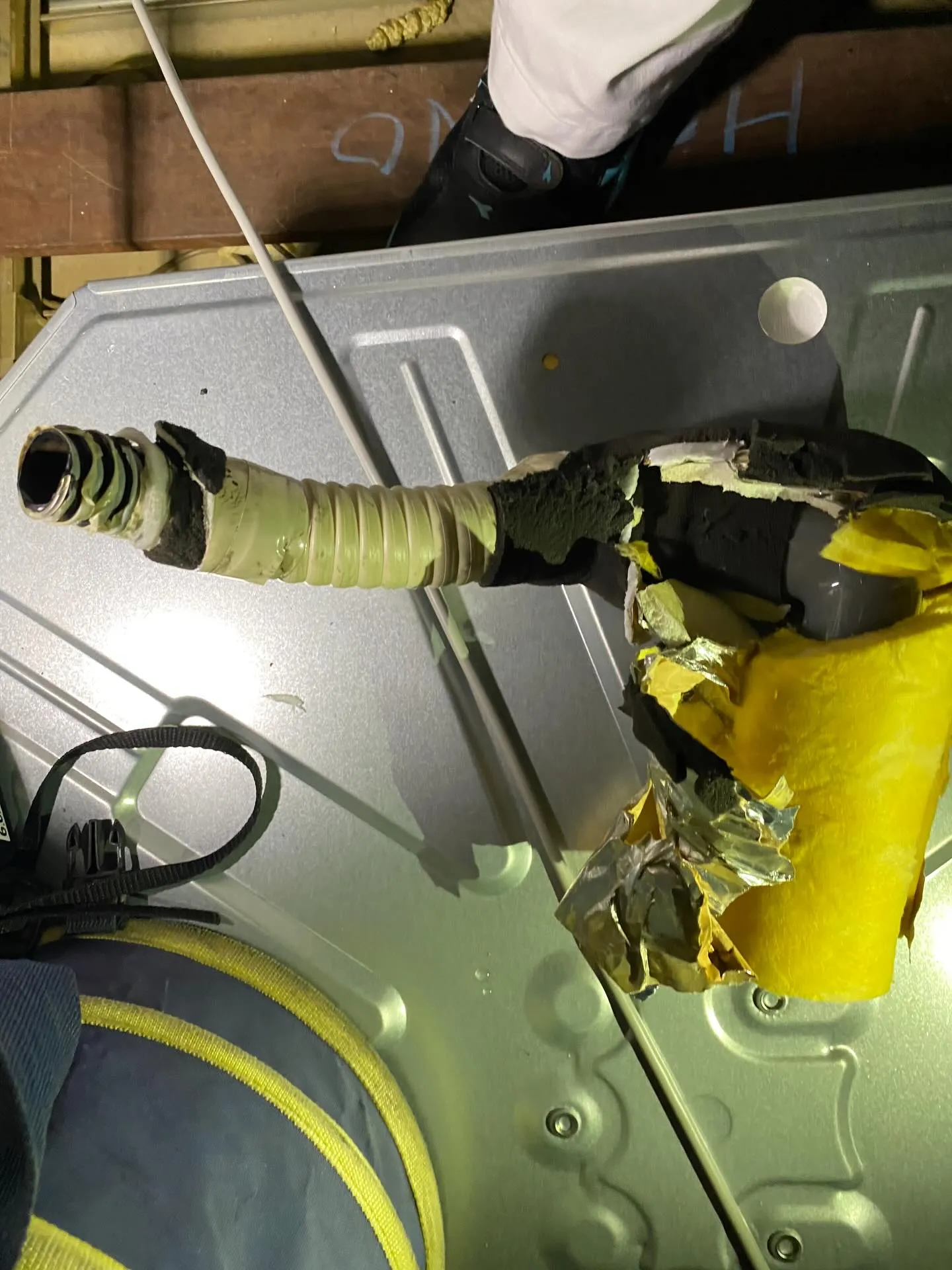 こんにちは!春を迎えて、暖かい日が続くようになりましたね🌸も...