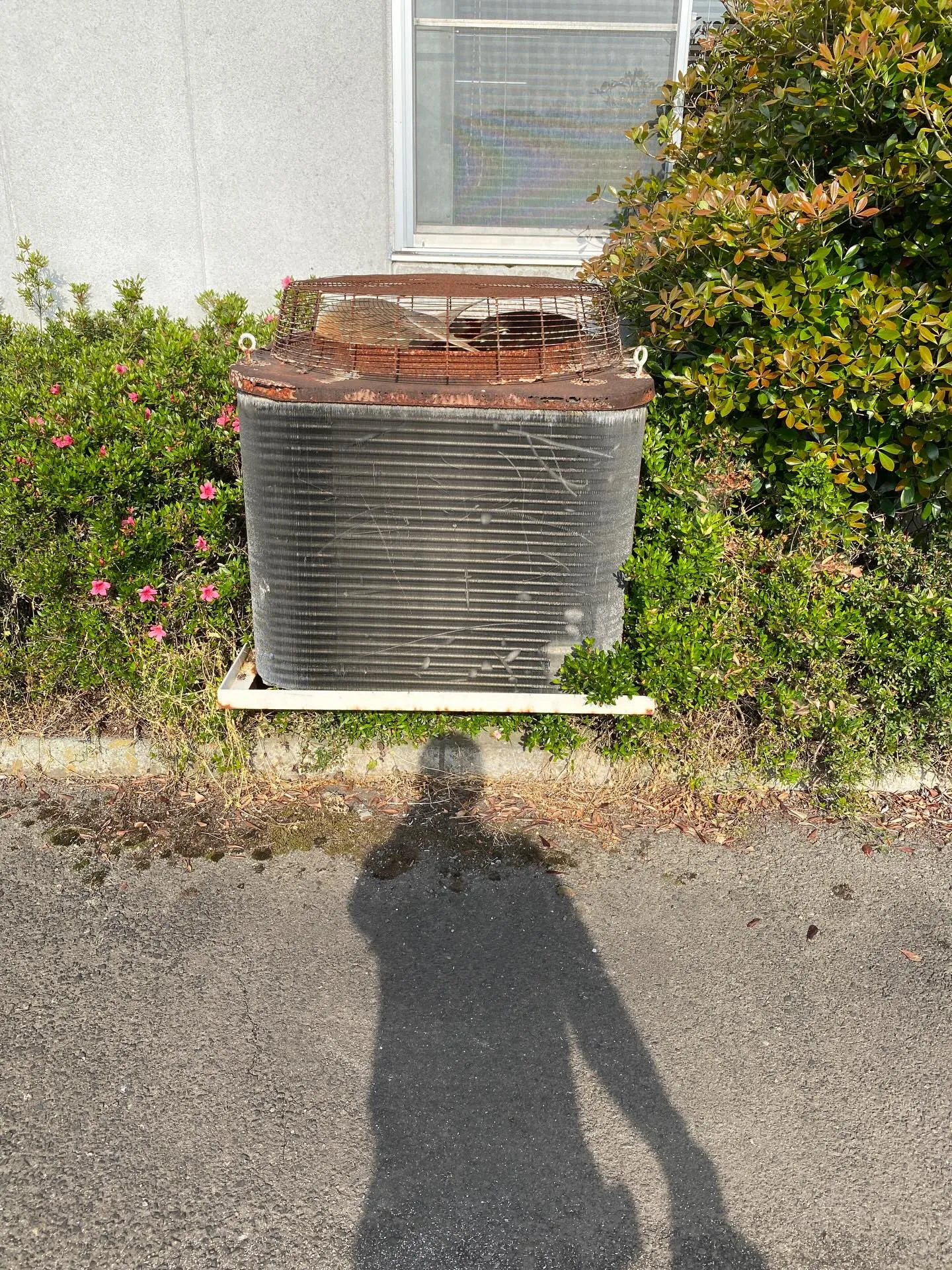 こんにちは!春を迎えて、暖かい日が続くようになりましたね🌸も...