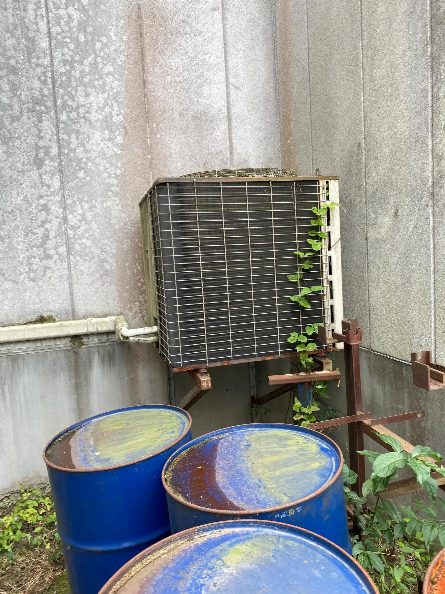 こんにちは!春を迎えて、暖かい日が続くようになりましたね🌸も...