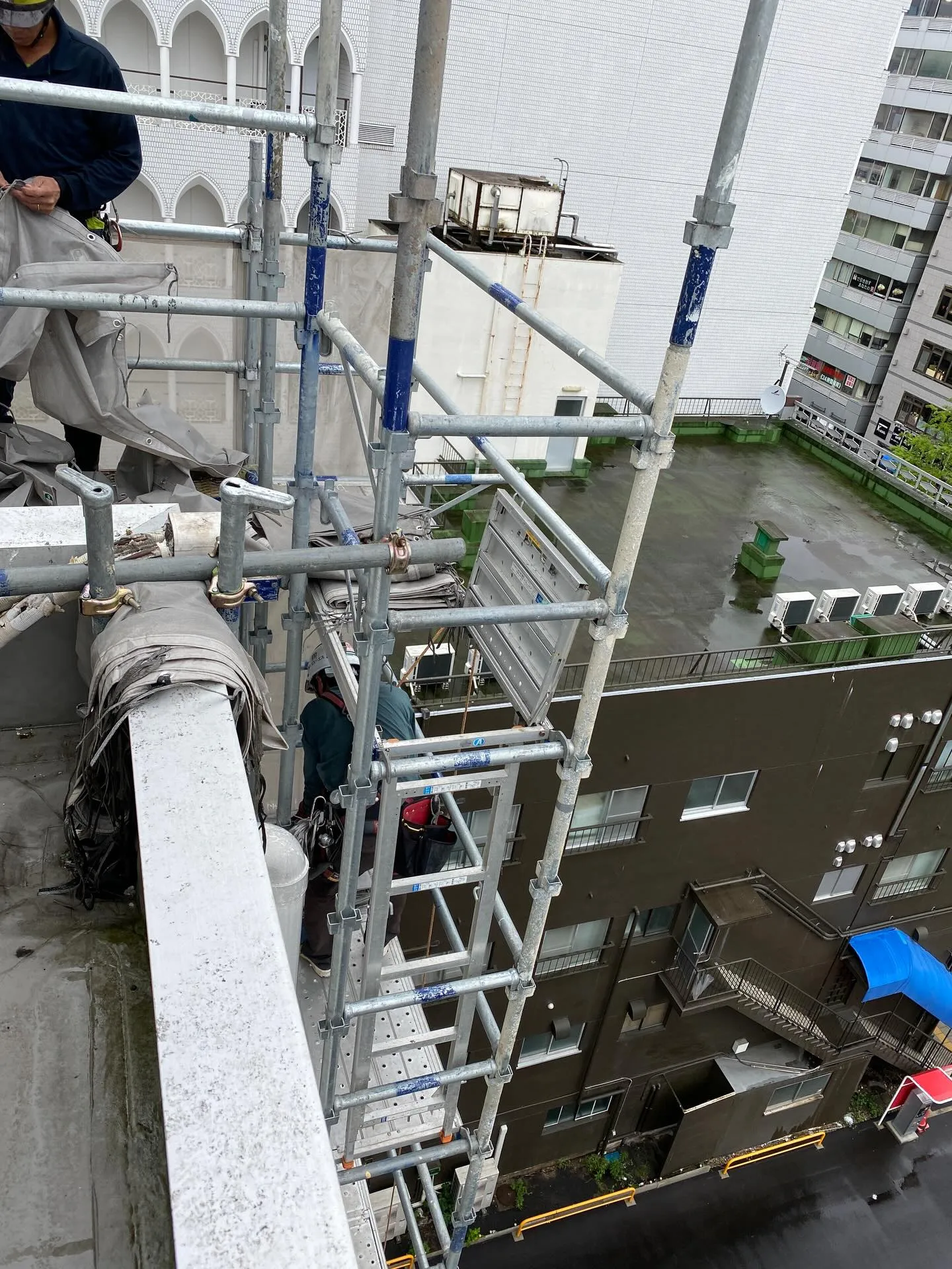 こんにちは!春を迎えて、暖かい日が続くようになりましたね🌸も...