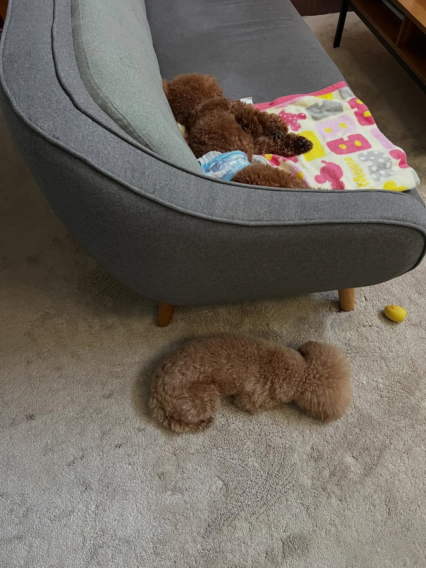 みなさん!宮城県でエアコンに関する質問や興味がある方々に朗報...