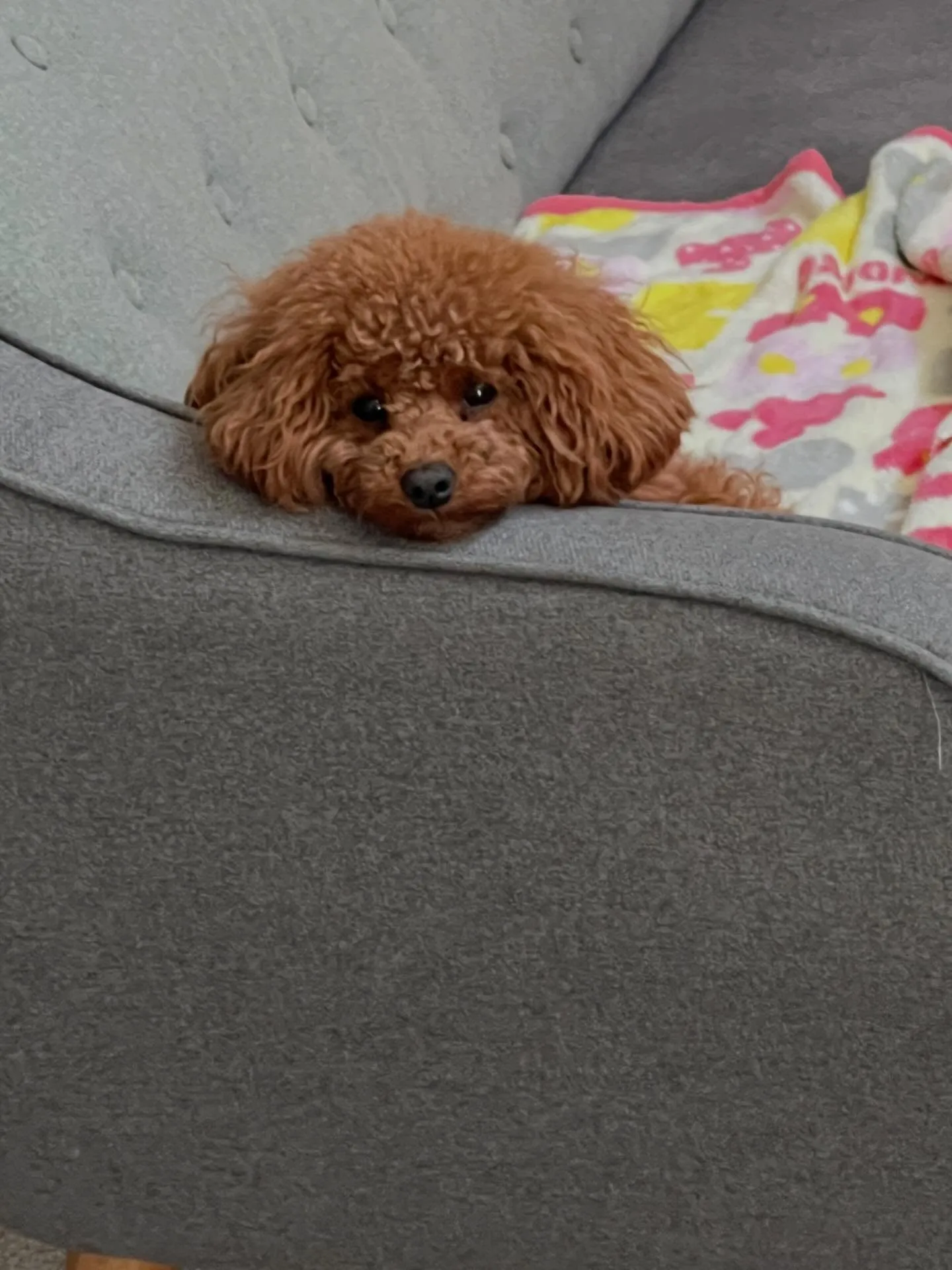 エアコン研究所仙台へぜひお越しください!仙台の愛子に新しく研...