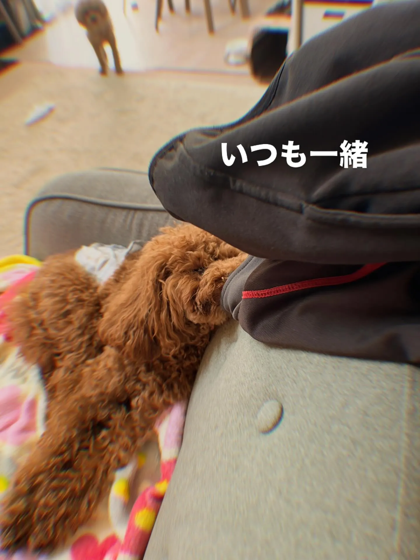 仙台でエアコンの中古買取や購入をお考えの皆さま、ぜひ私たちに...