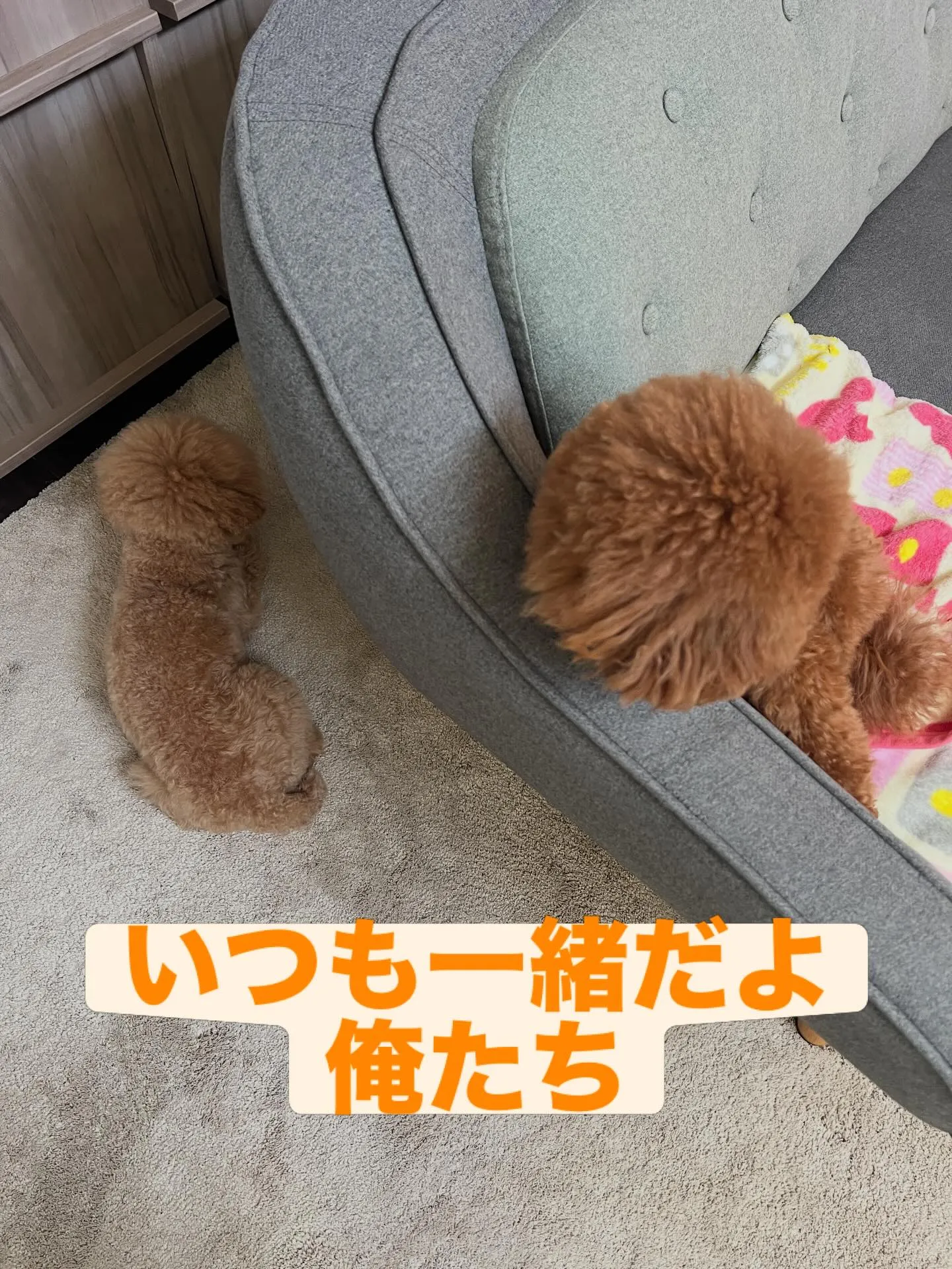 仙台周辺でエアコンの処分にお困りですか?細野工業にお任せくだ...