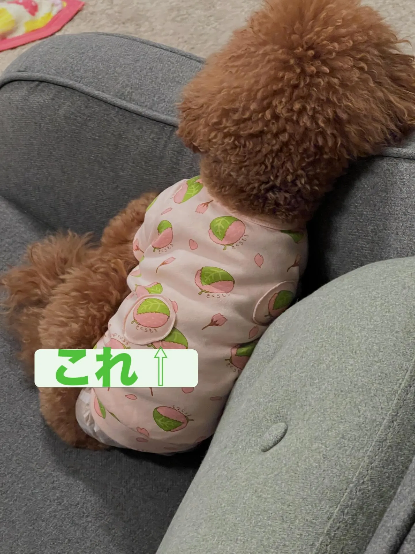 仙台周辺でエアコンの処分にお困りですか?細野工業にお任せくだ...