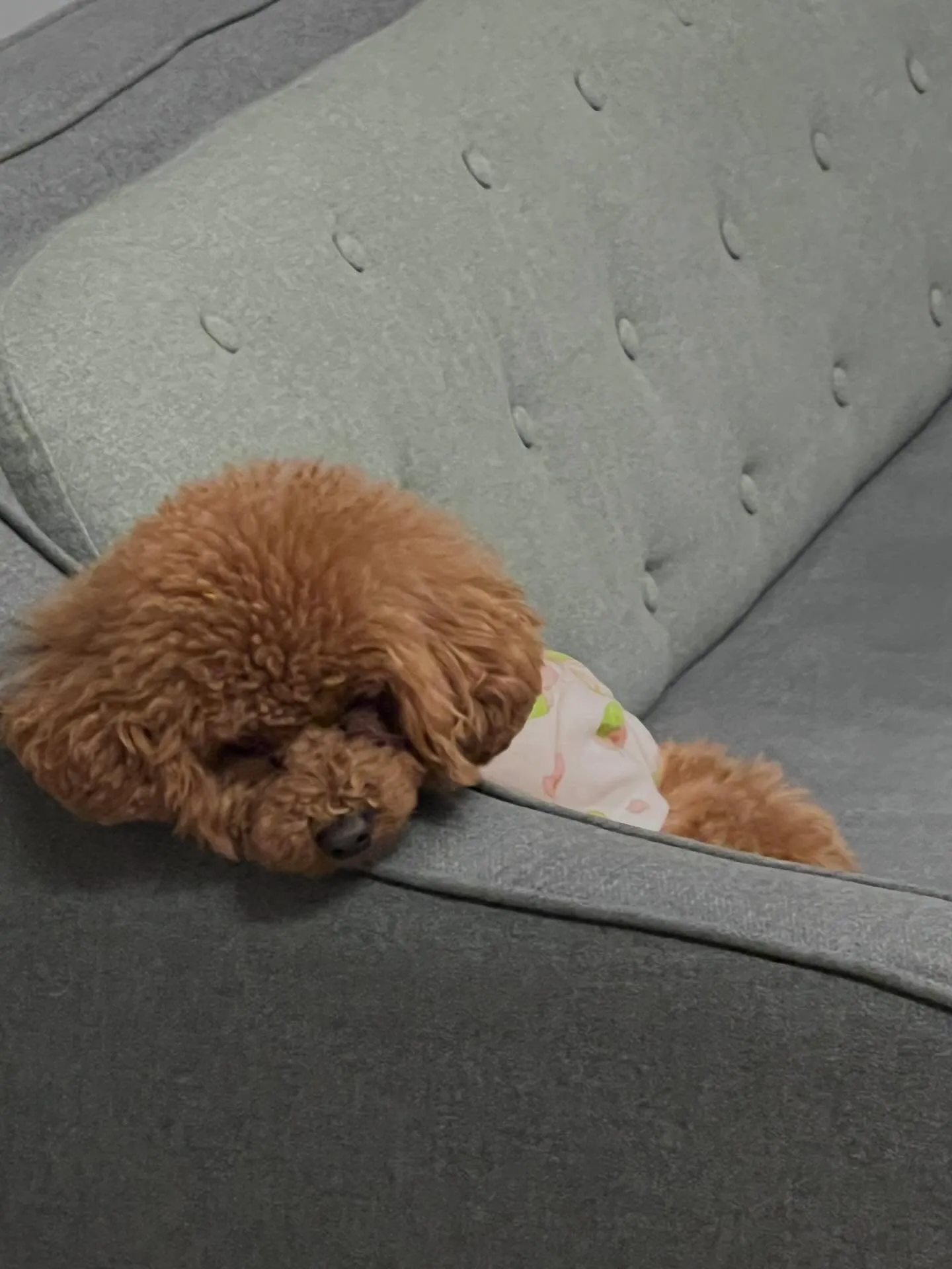 仙台周辺でエアコンの処分にお困りですか?細野工業にお任せくだ...