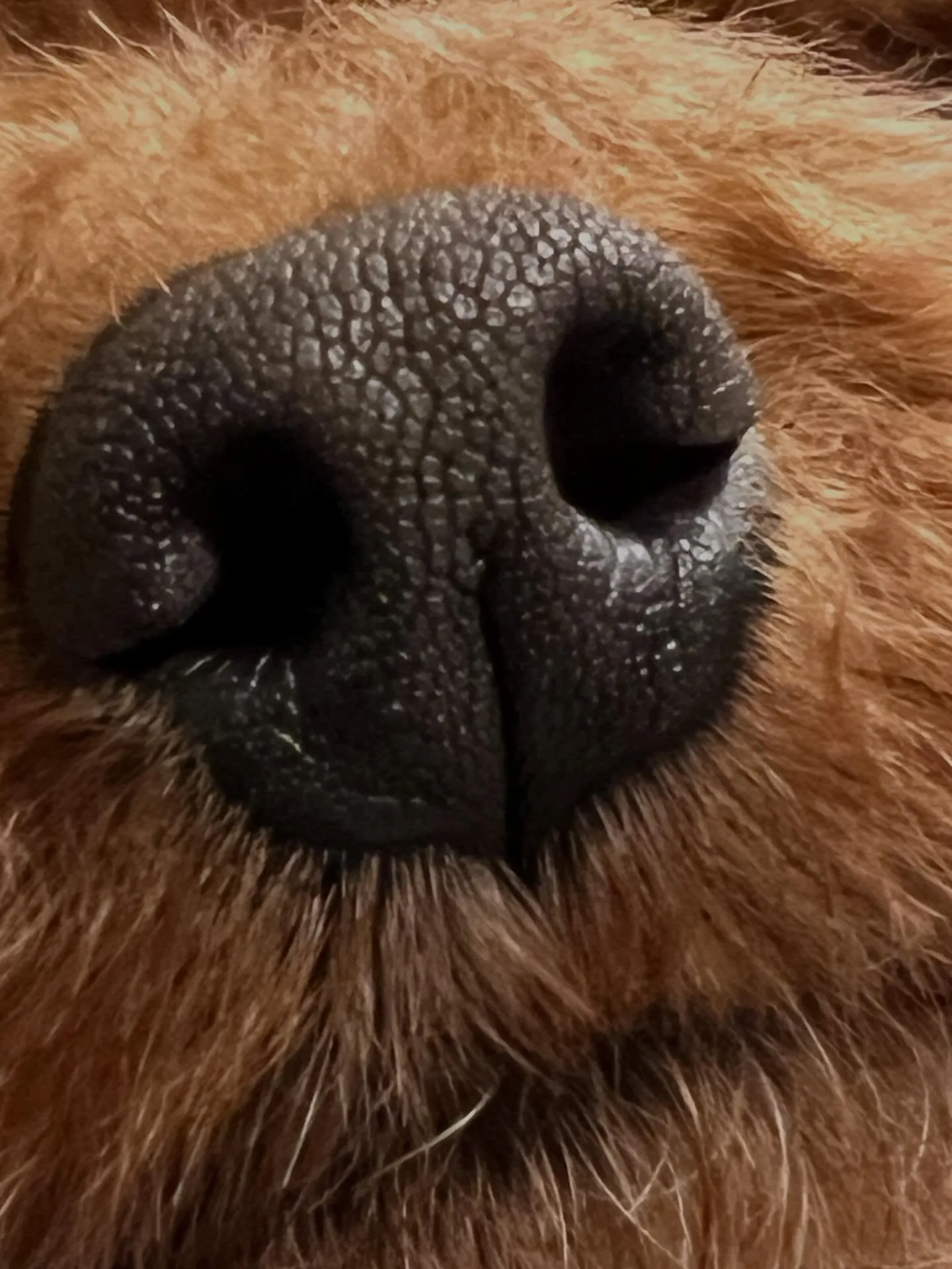 仙台周辺でエアコンの処分にお困りですか?細野工業にお任せくだ...