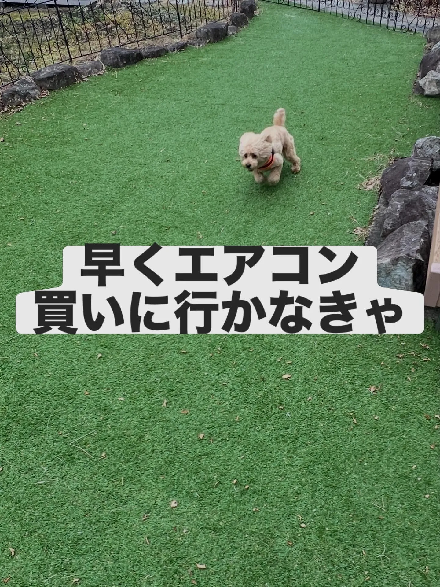 エアコンの健康診断をしてみませんか?✨宮城県全域、仙台市を中...