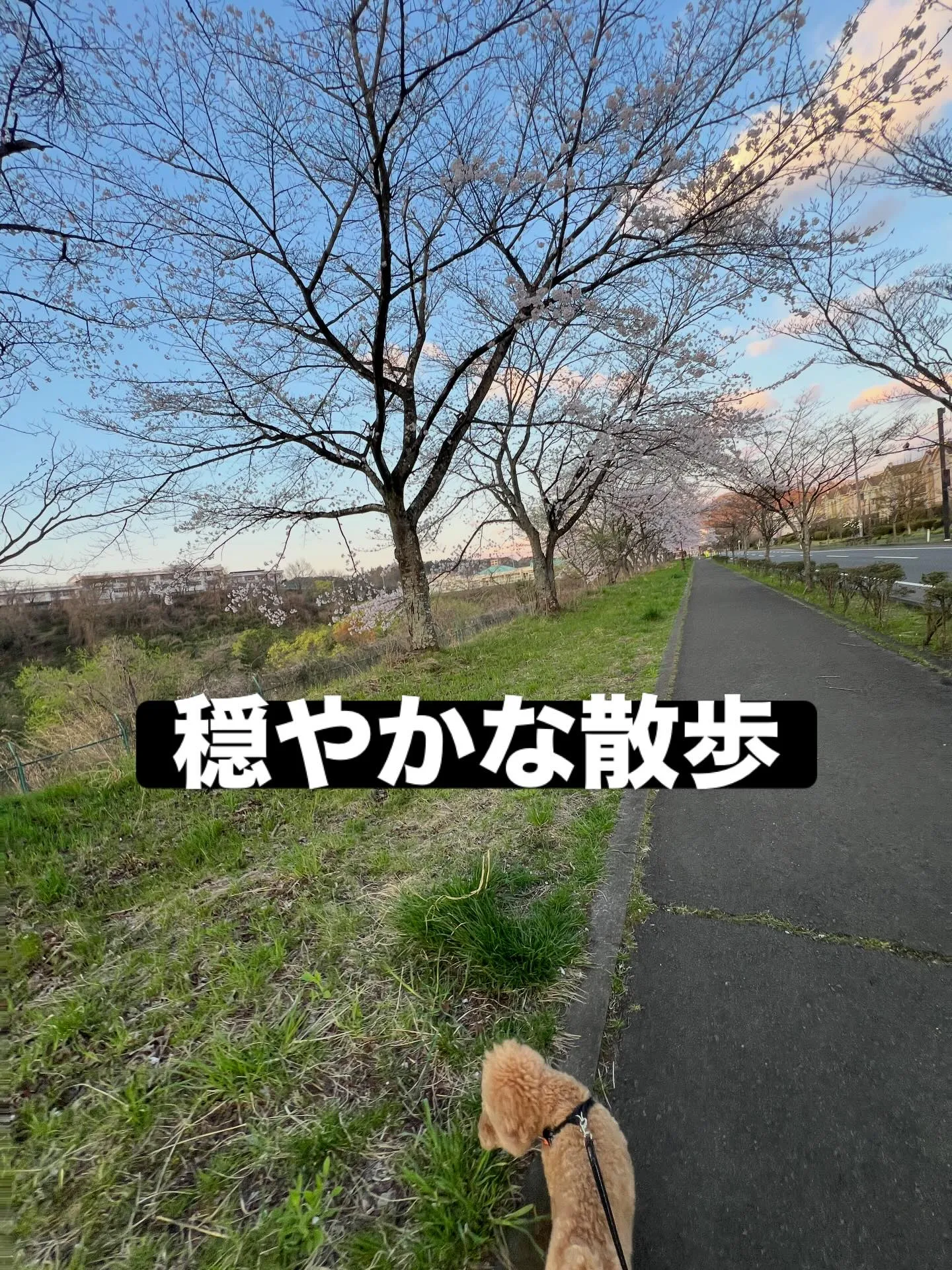 🎉 宮城県の皆さまへ！当エアコン研究所がついにオープンしまし...