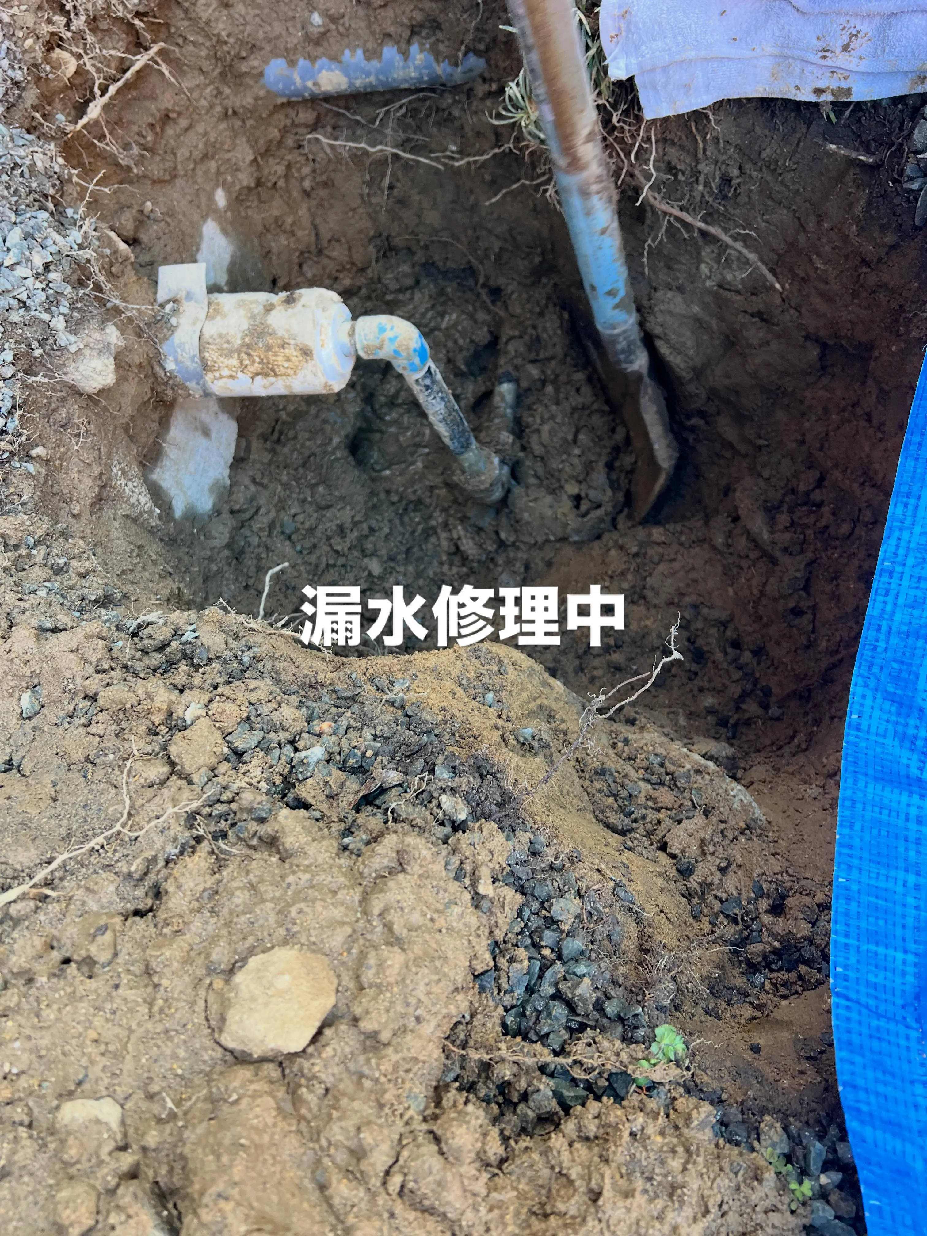 🌟仙台で新たな学びの扉を開きませんか？🌟私たちのスクールでは...