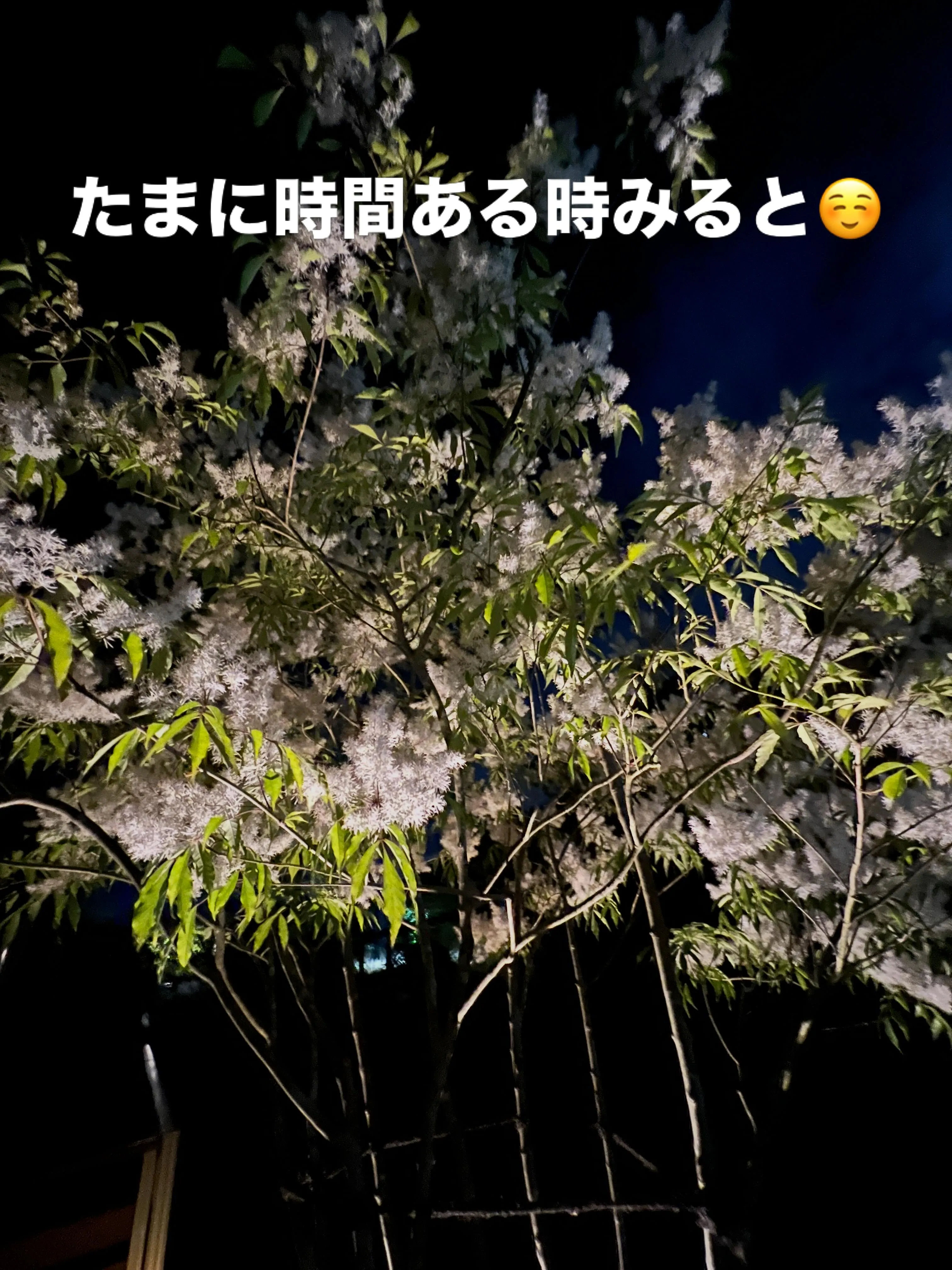 仙台エアコンなんでも相談所