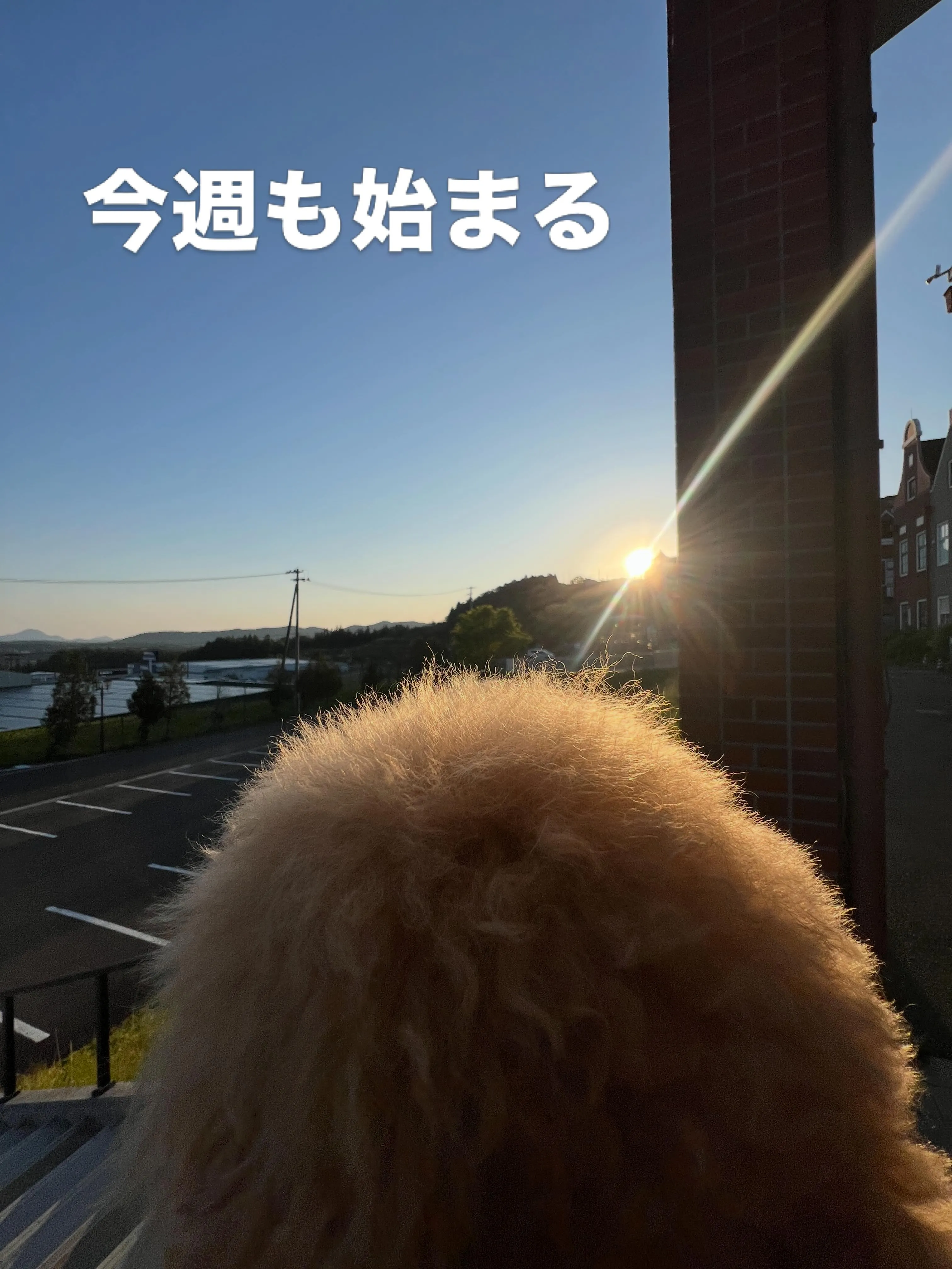 みなさま、仙台にある「細野塾とエアコン研究所」へようこそ！私...
