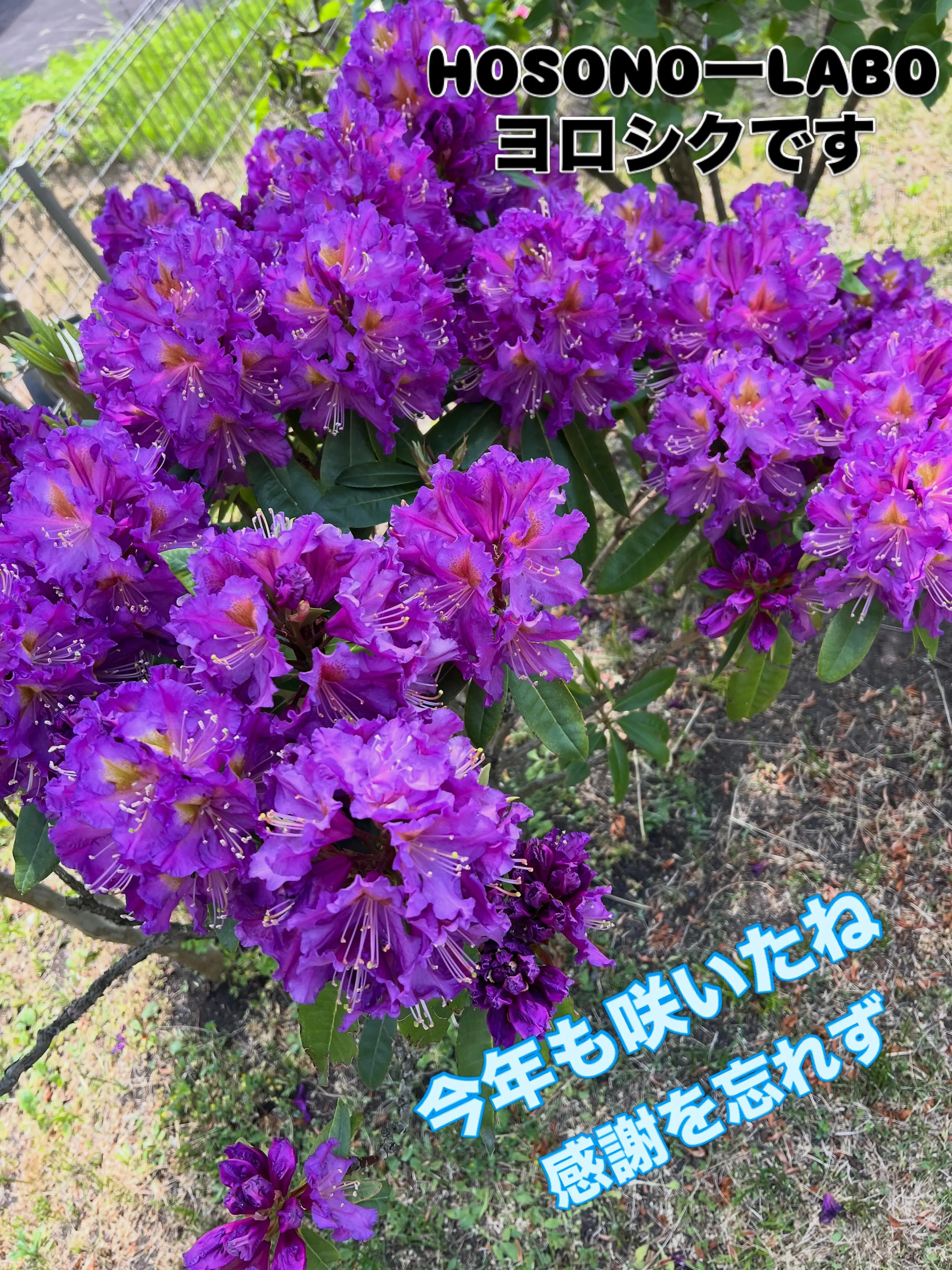 仙台エアコン研究所では、あなたのエアコンに関する疑問をすべて...