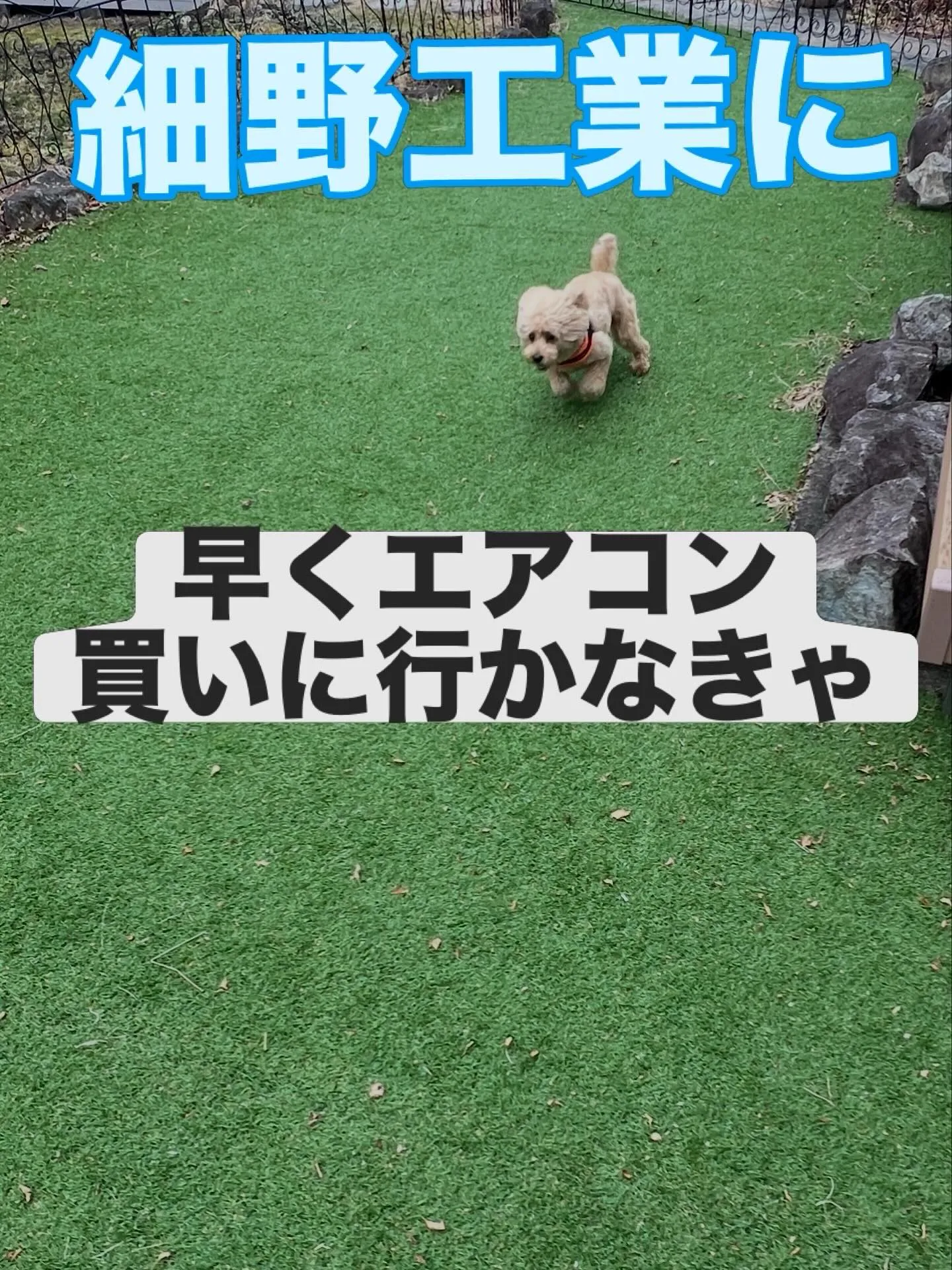 多様なニーズにお応えします✨