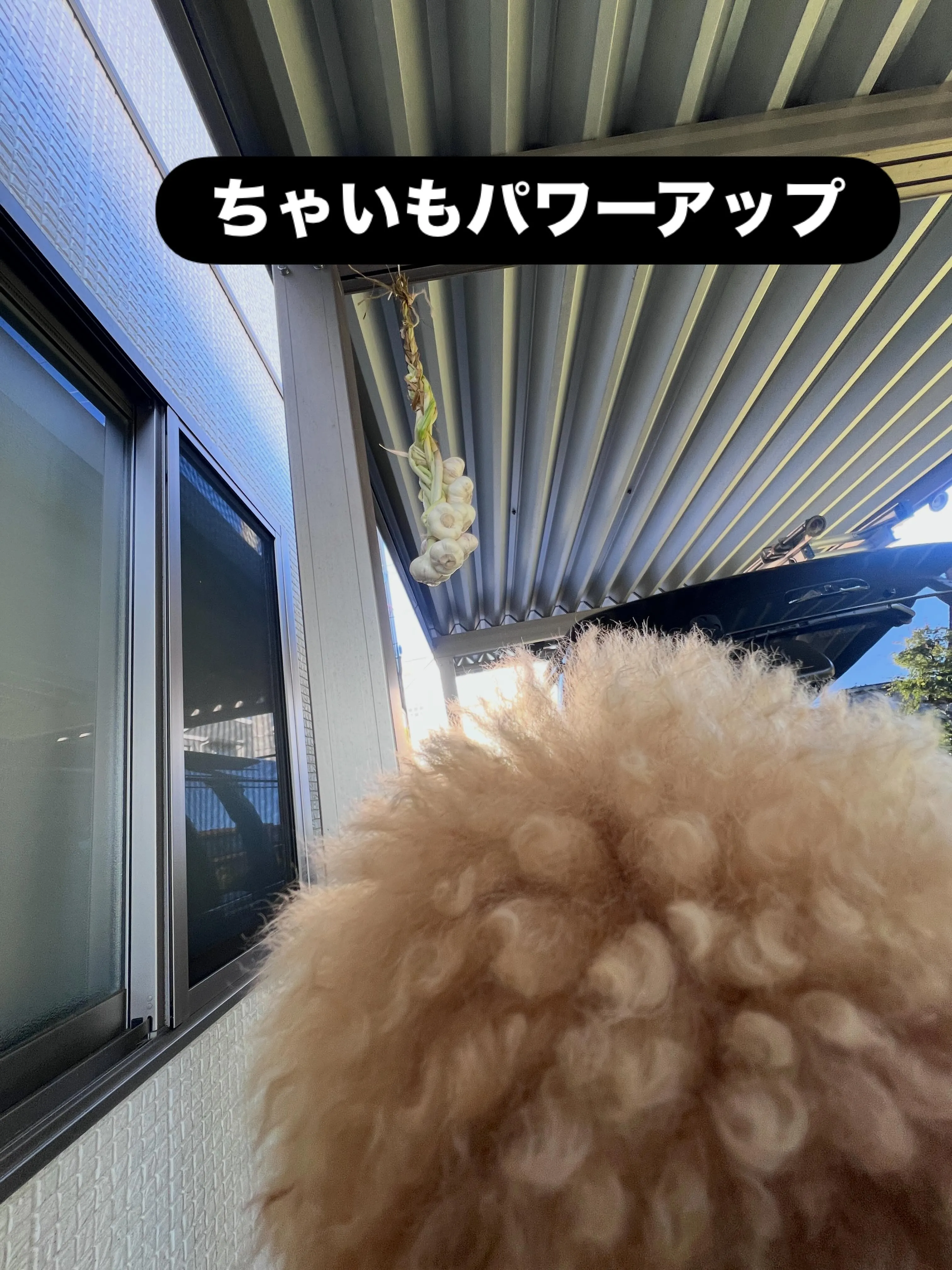 快適でエコな生活へ一歩近づきませんか?🌿エコキュートや省エネ...