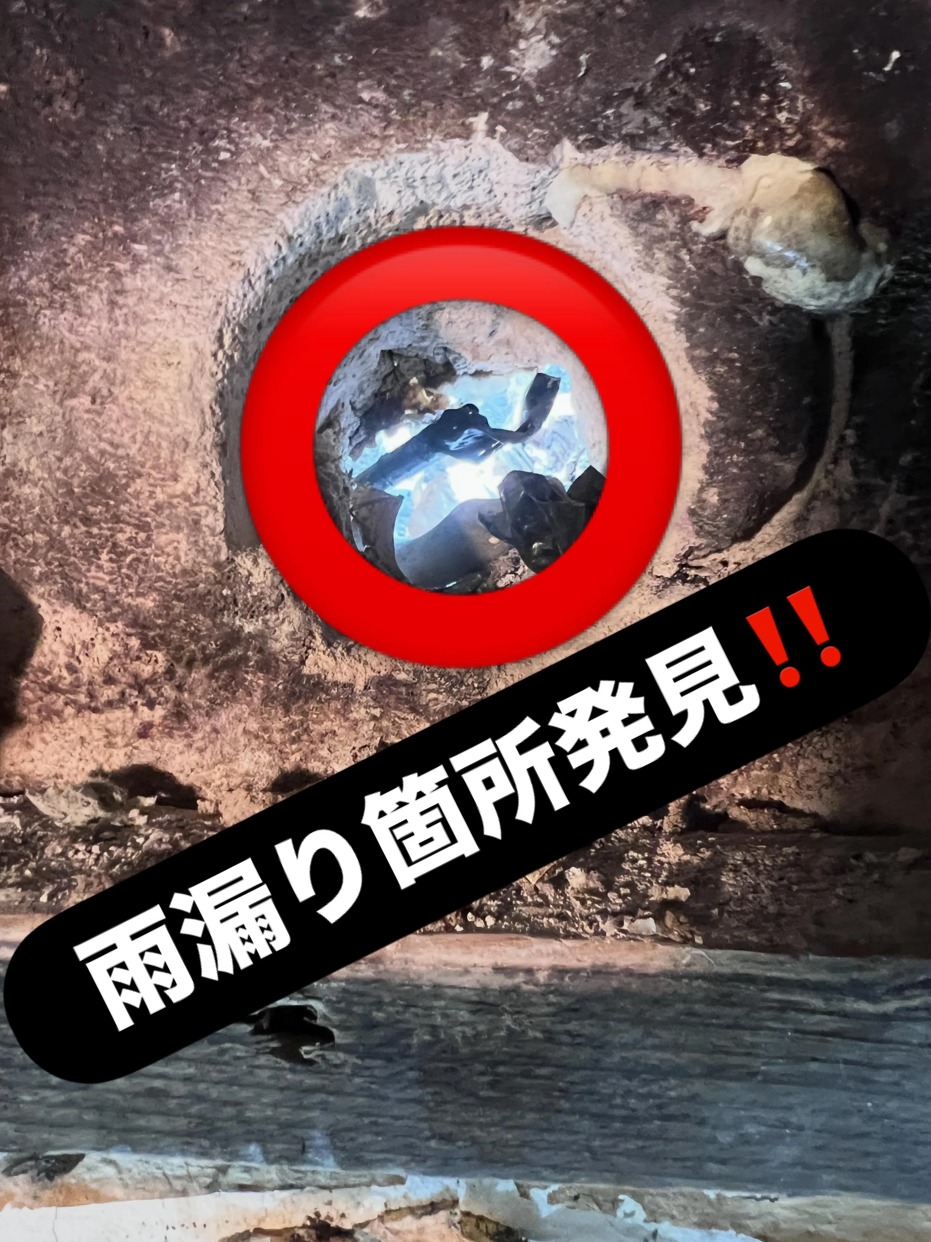 補助金申請のサポートでお悩みですか?
