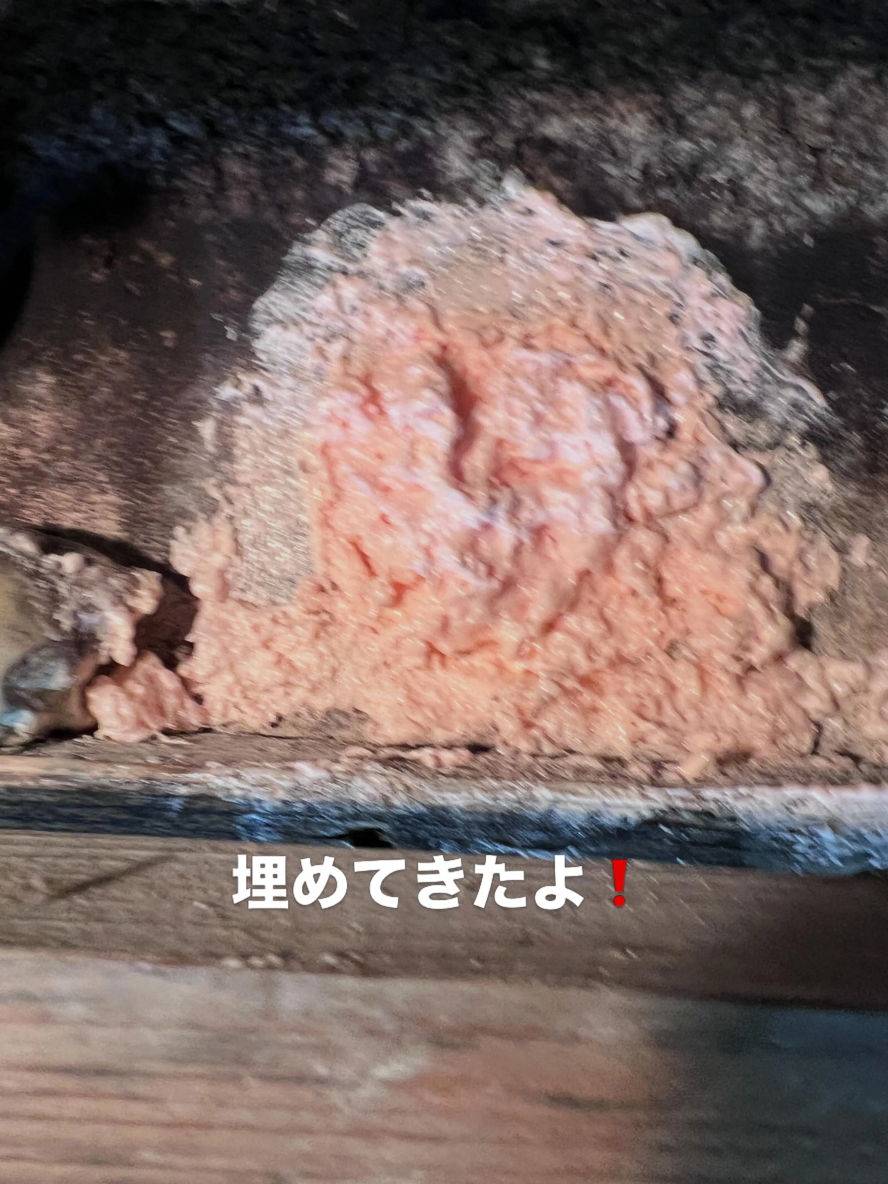 補助金申請のサポートでお悩みですか?