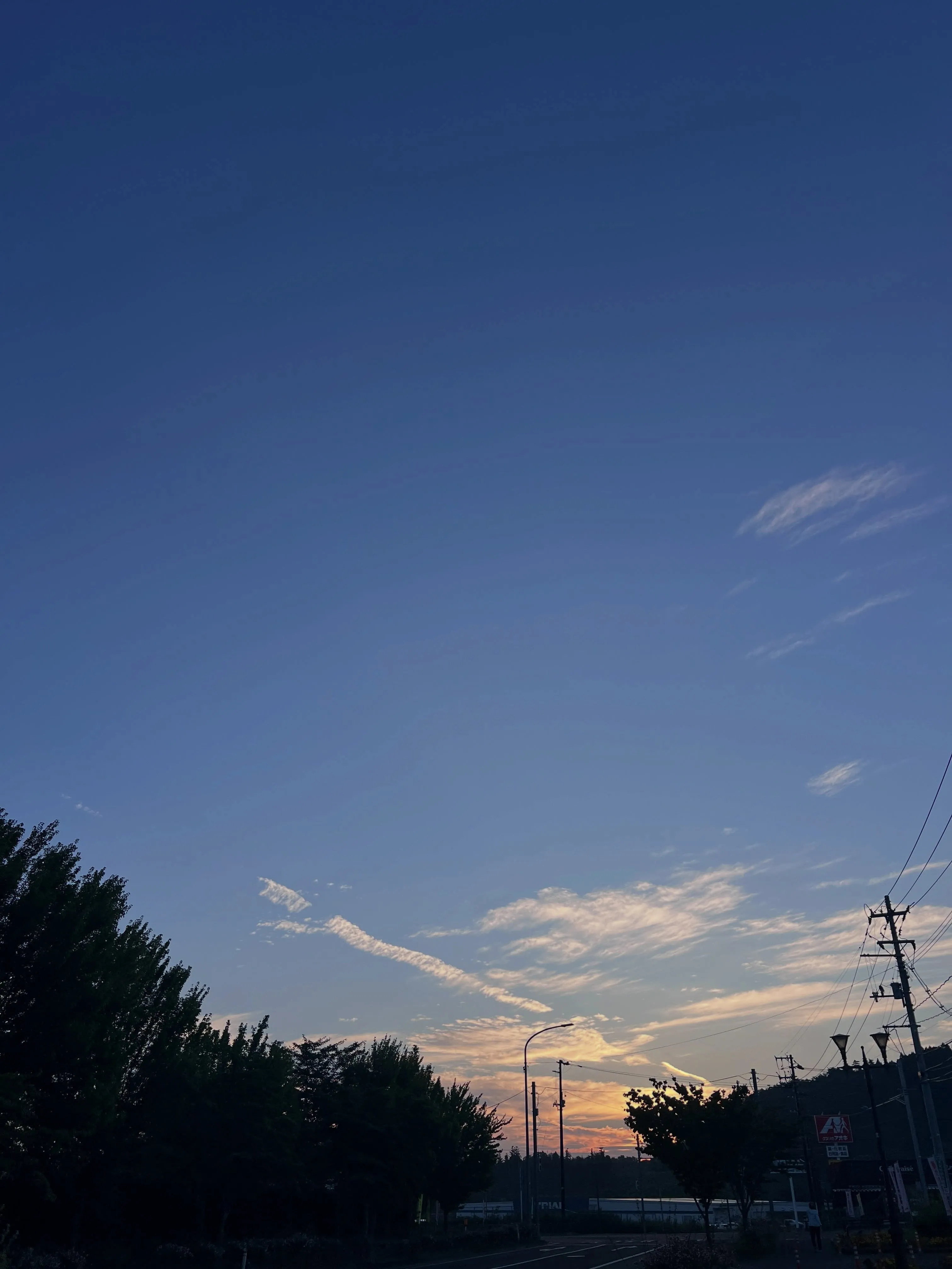 技能を磨くチャンス✨