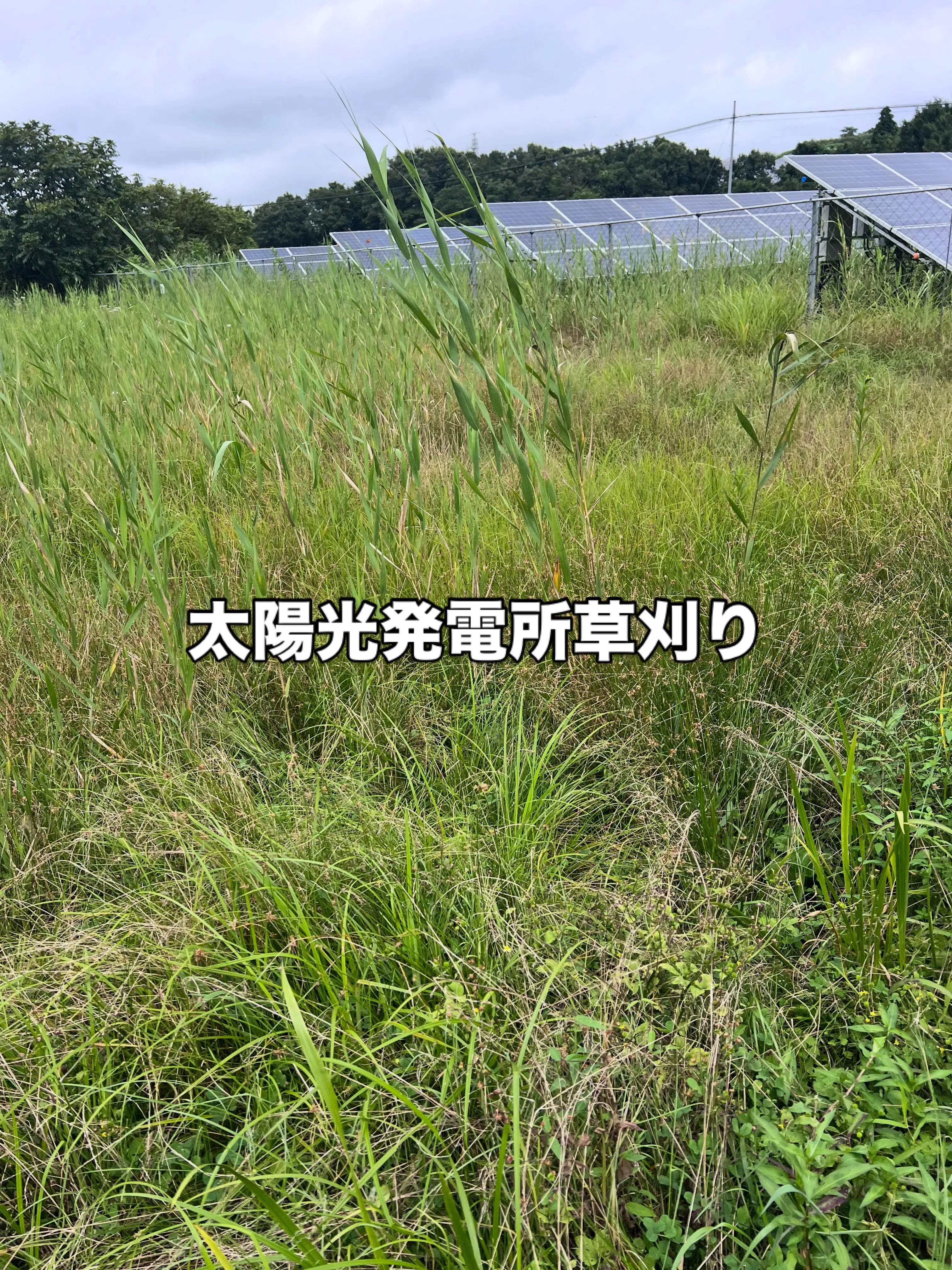 エアコンの撤去や処分でお困りではありませんか？✨