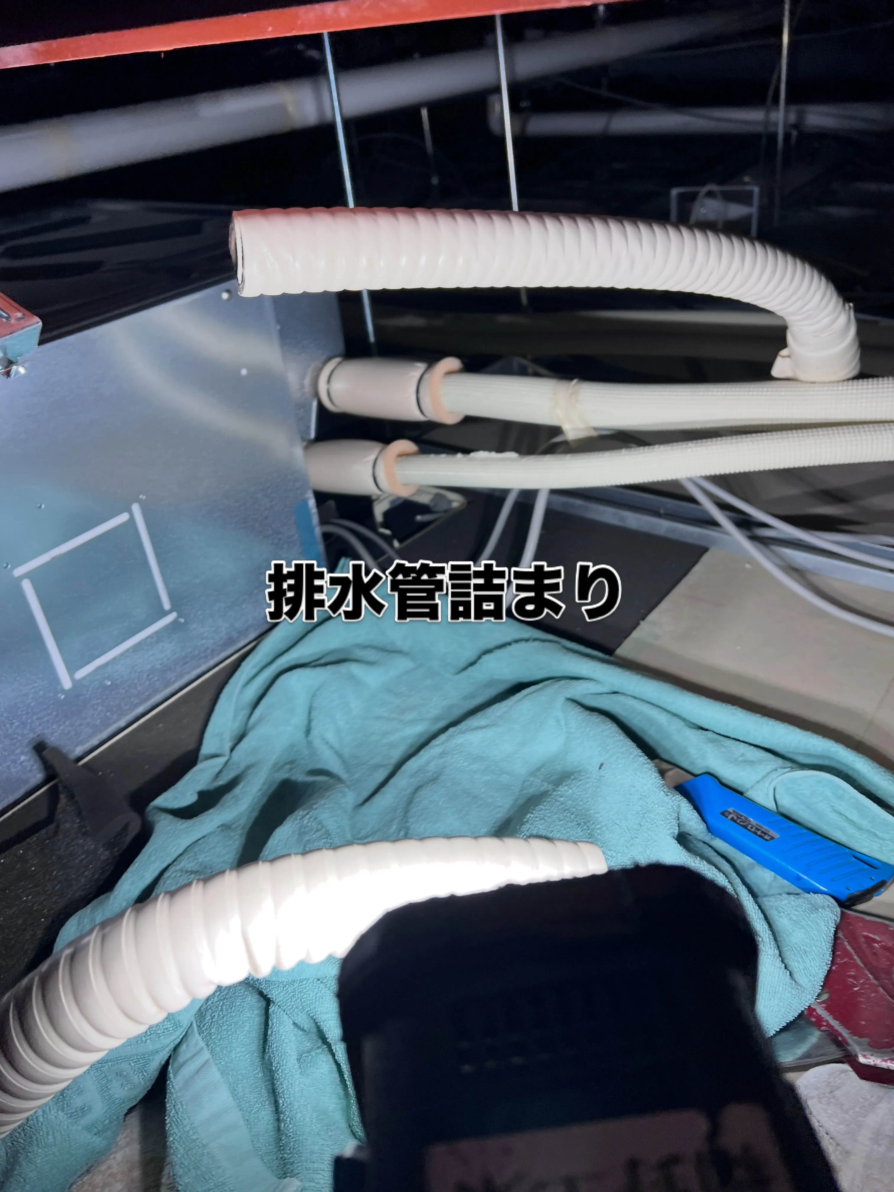 職人の技を身につけませんか?✨