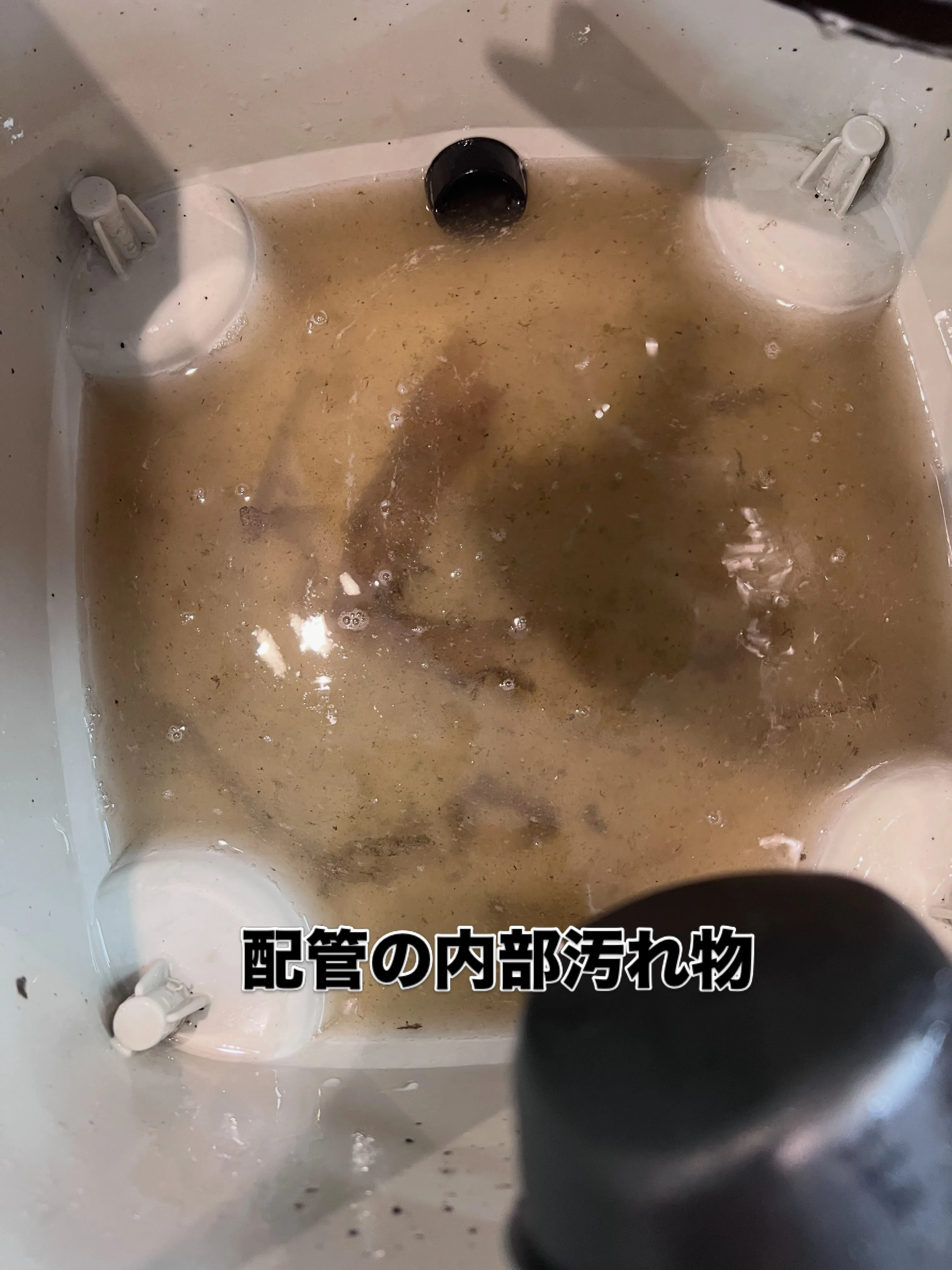 職人の技を身につけませんか?✨