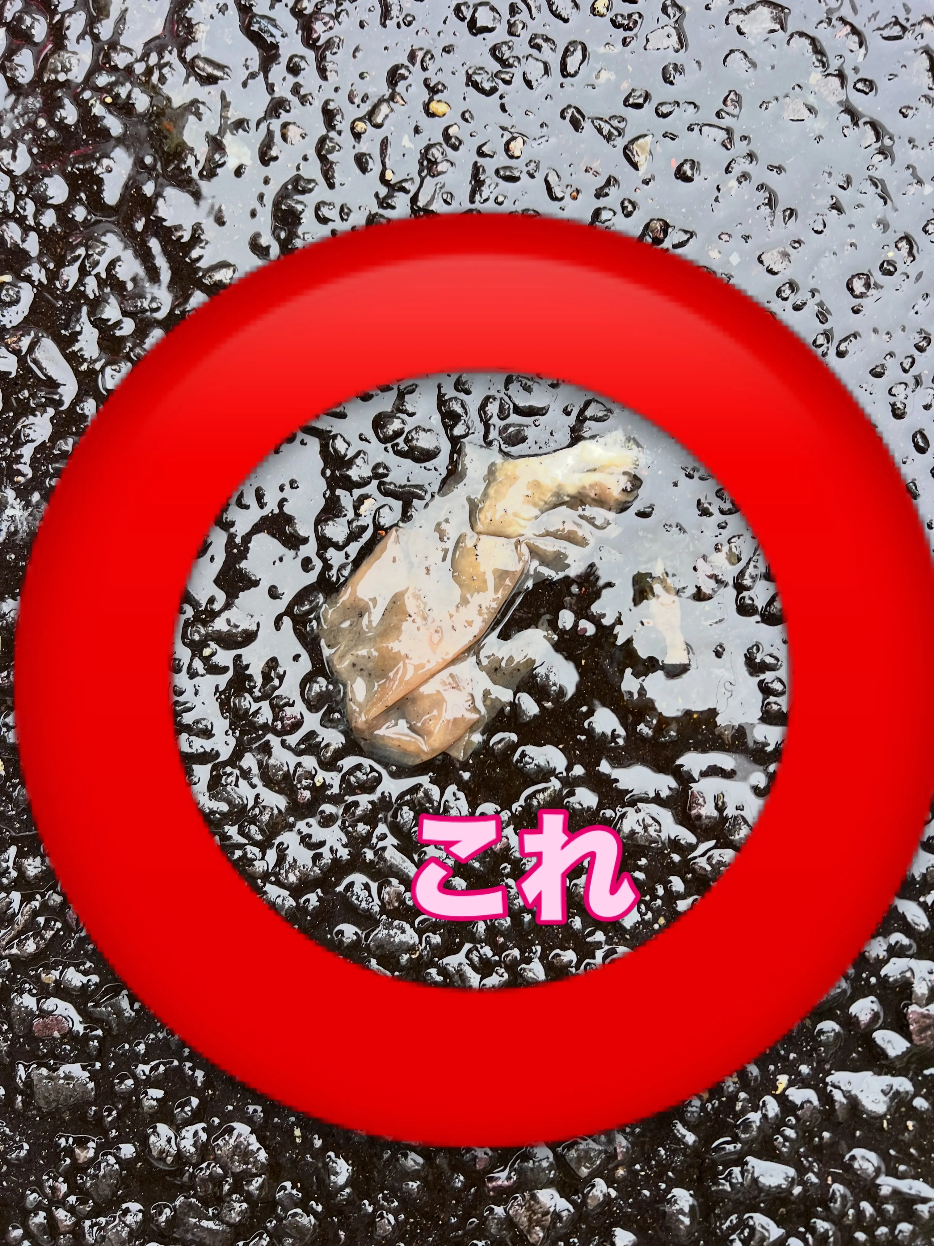 職人の技を身につけませんか?✨