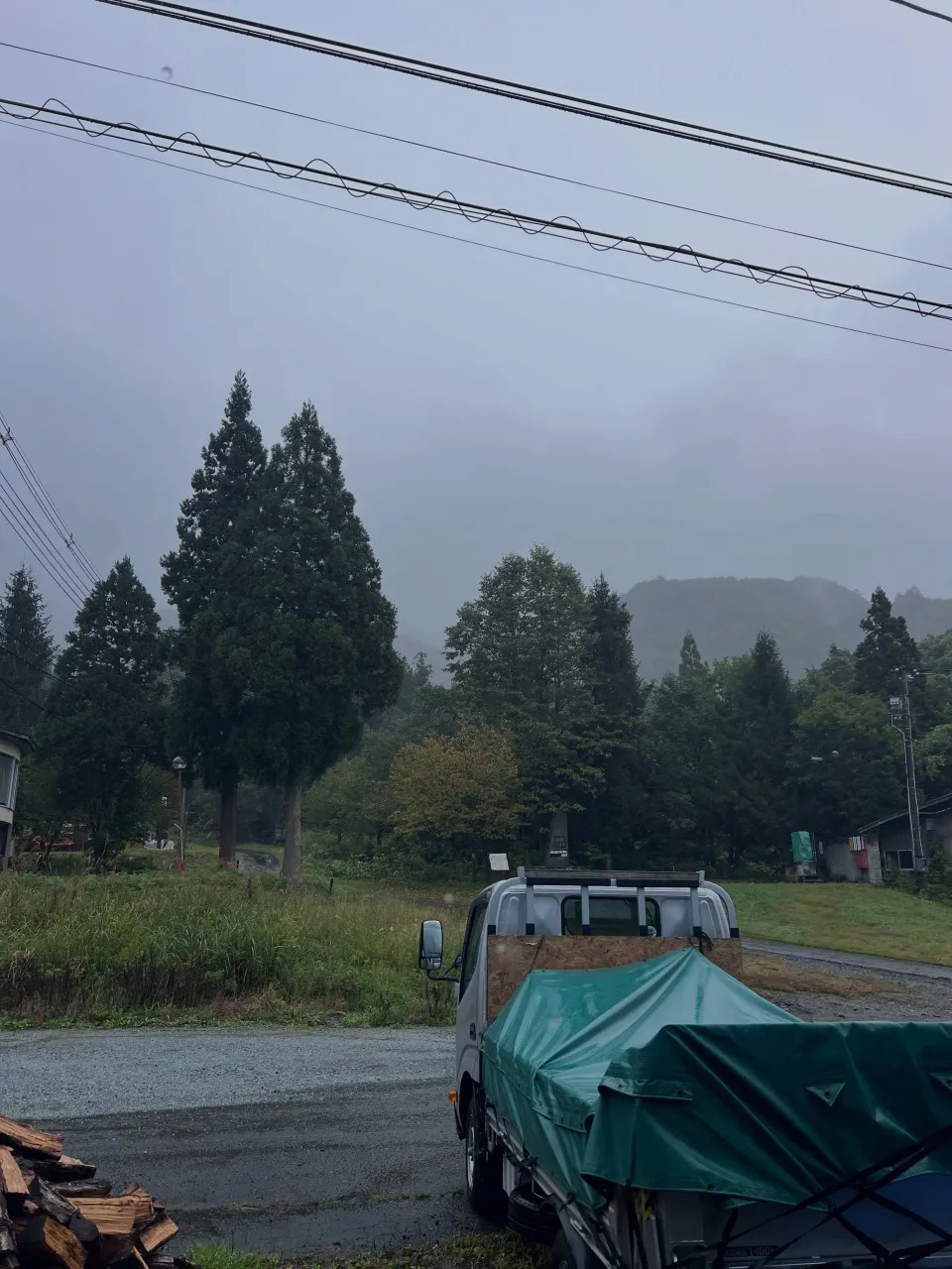 仙台で環境に優しい選択を🌿